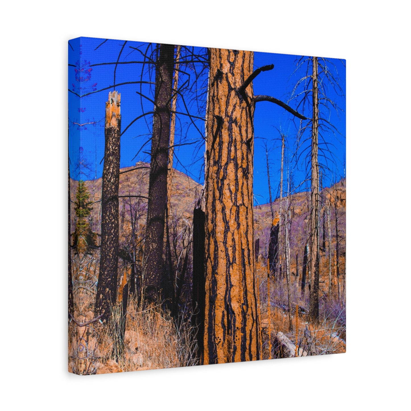 Canvas Print - Thunder Struck Tree Photo