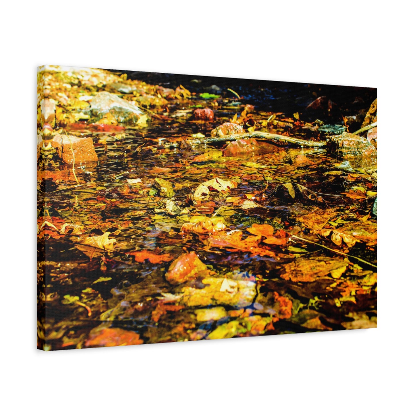 Canvas Print - Fall Leaves in Quiet Stream Photography