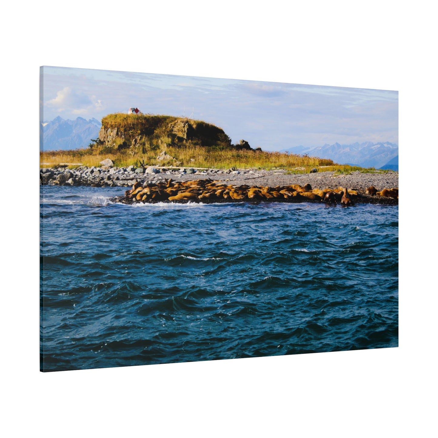 Canvas Print - Photo of Seal Island