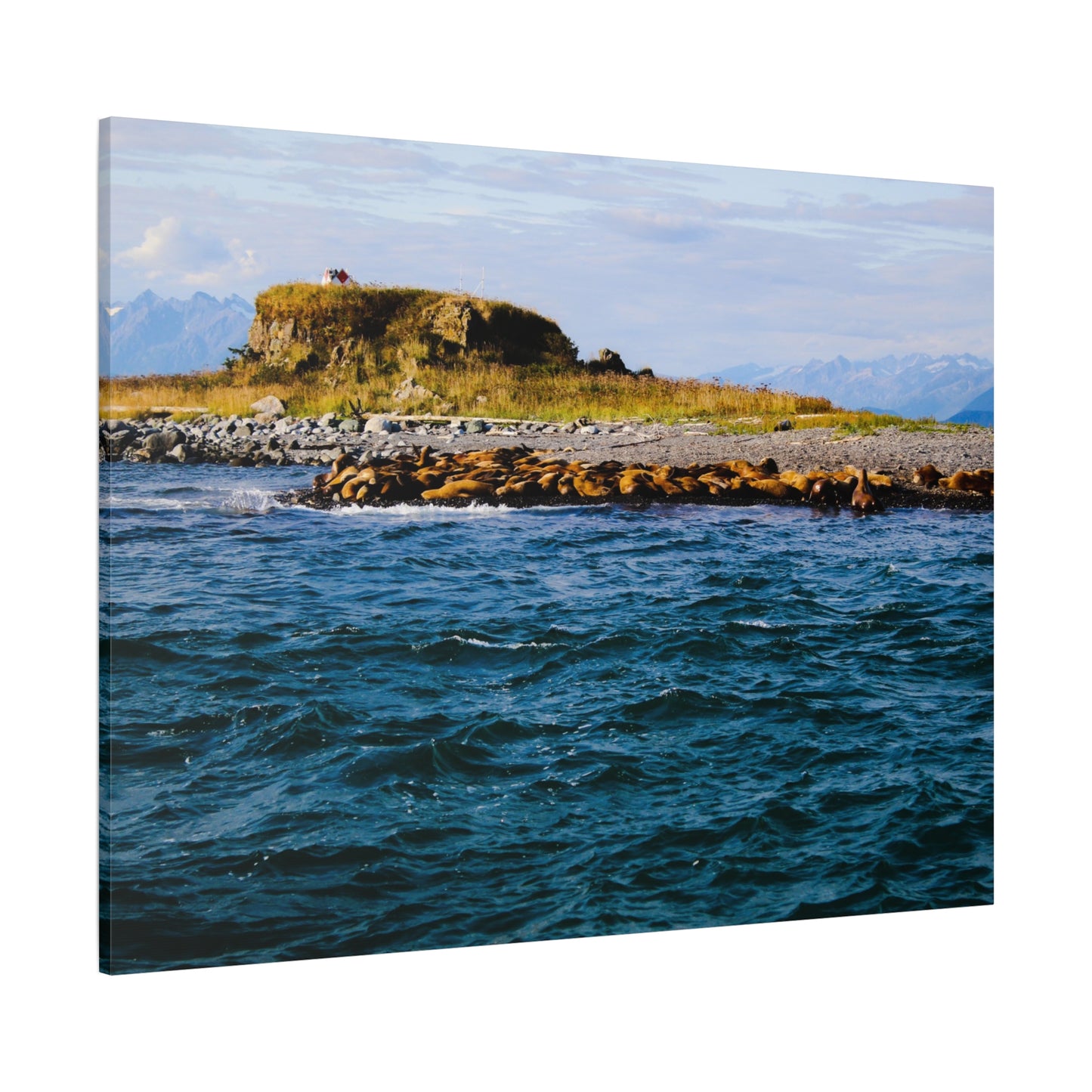 Canvas Print - Photo of Seal Island