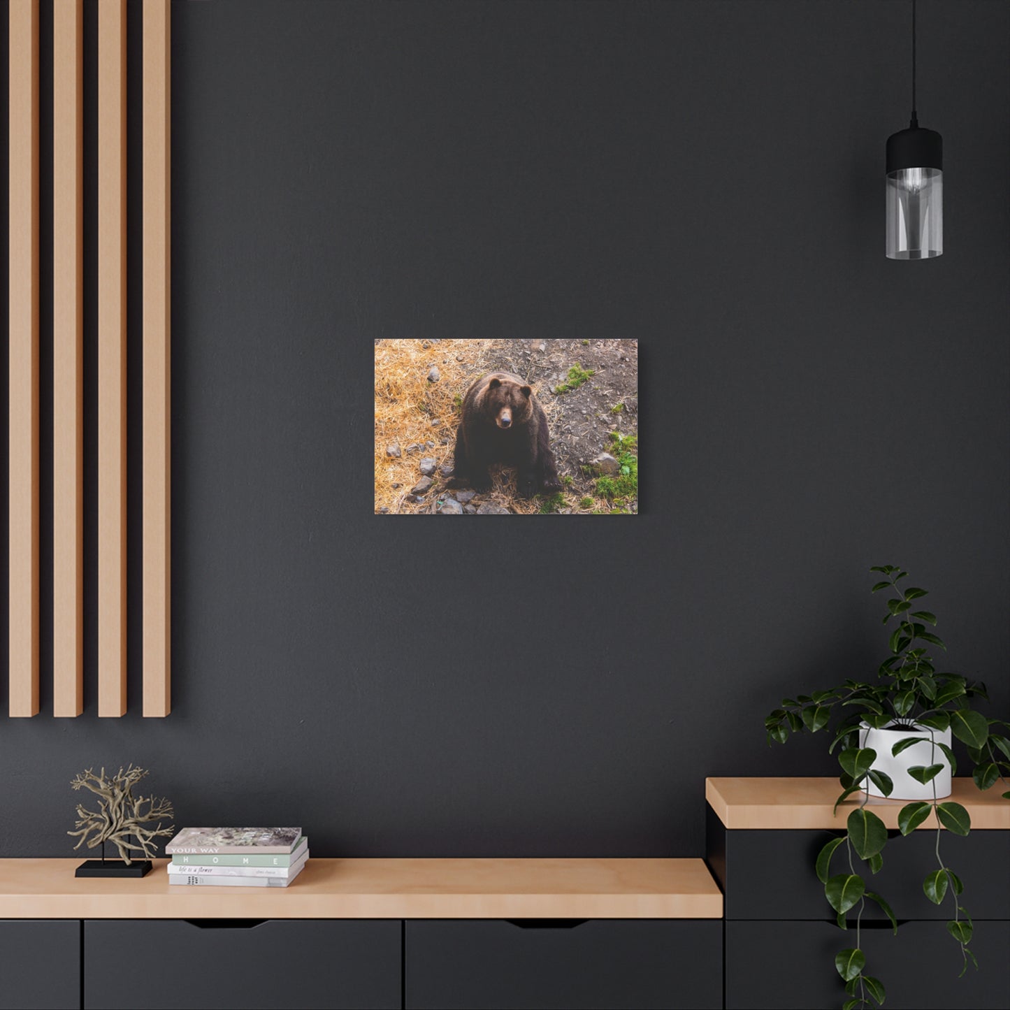Canvas Print - Staring Bear Photograph