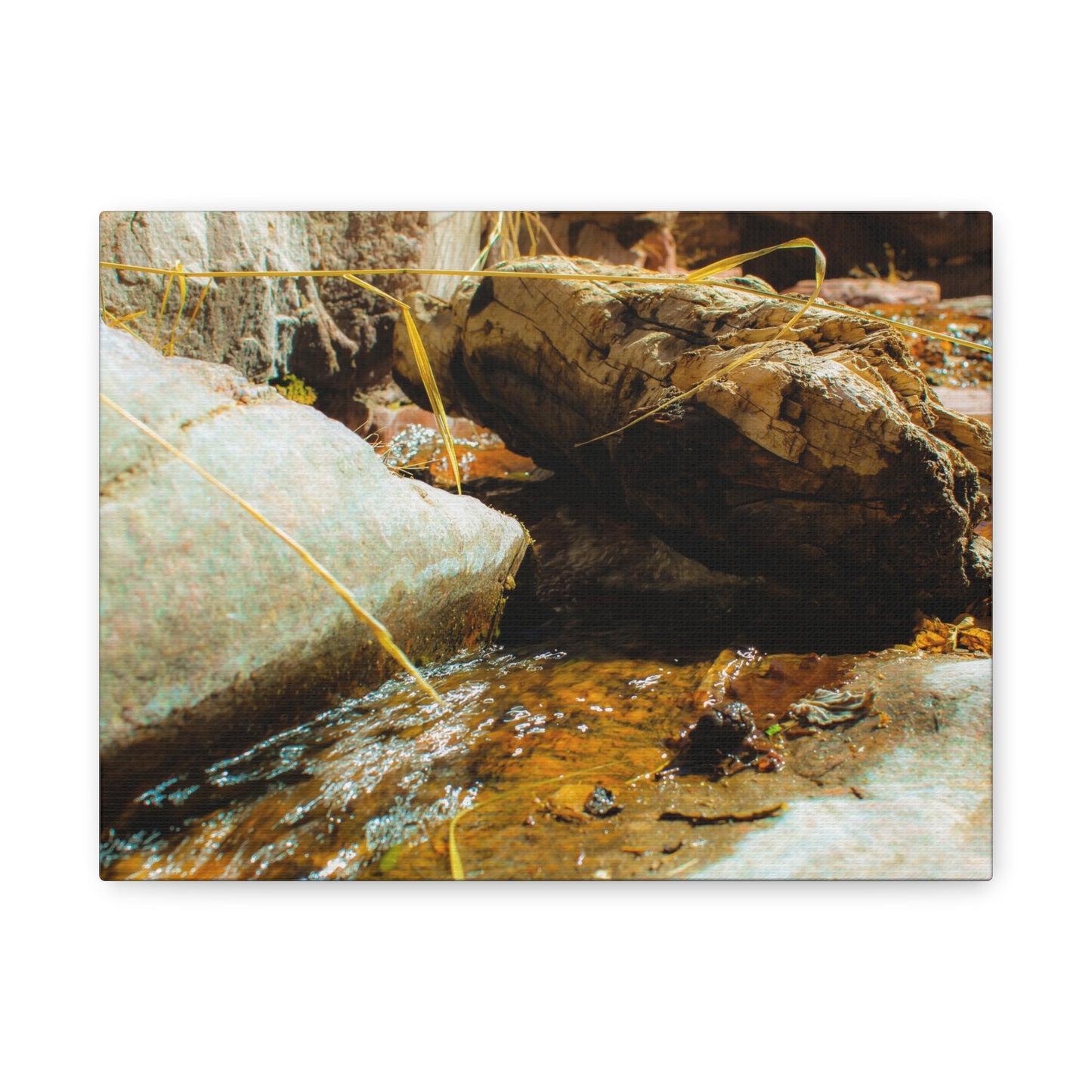 Canvas Print Lazy Log Photography