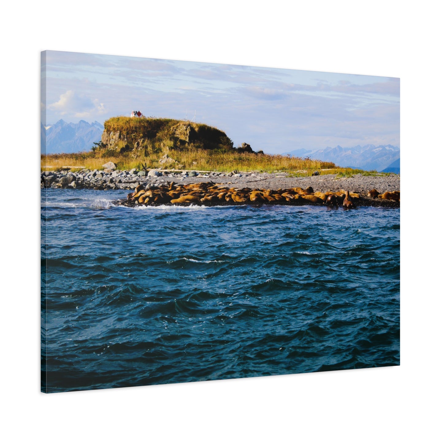 Canvas Print - Photo of Seal Island