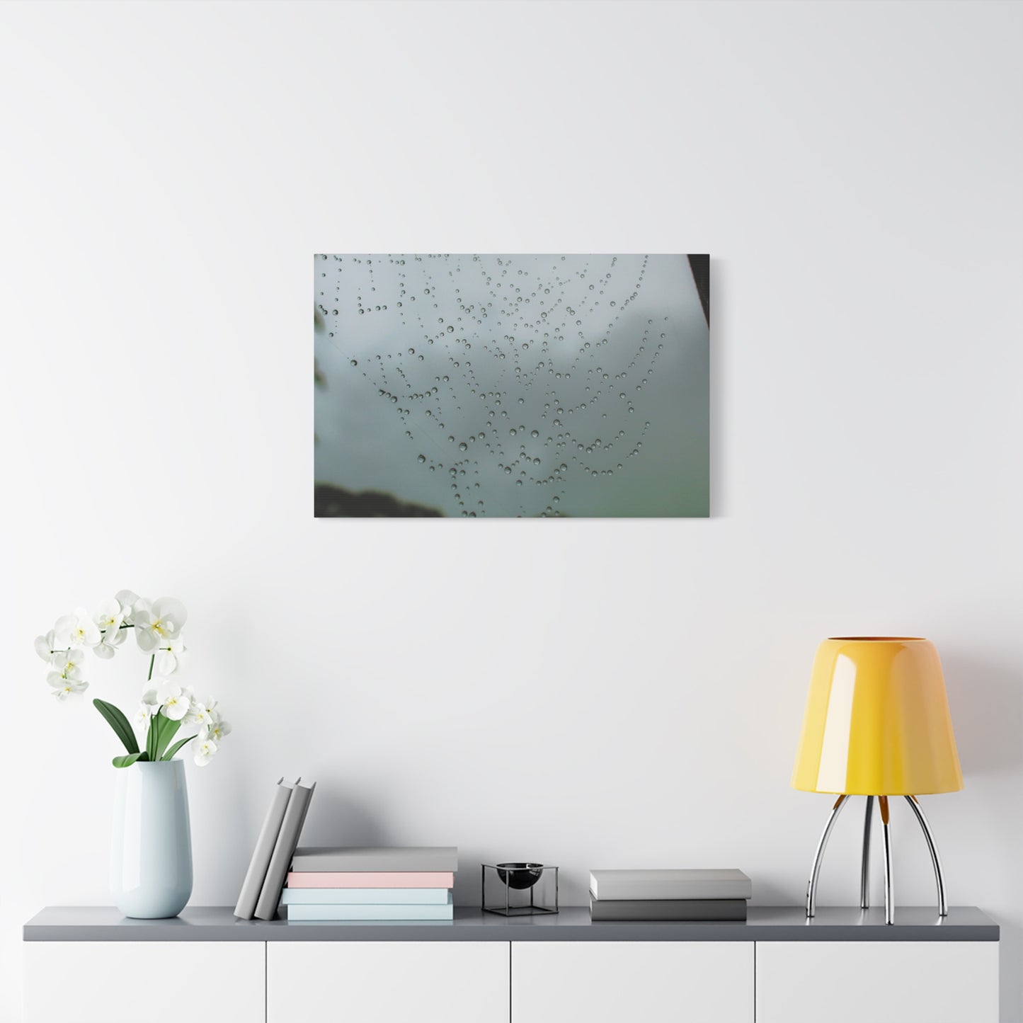 Canvas Print - Morning Dew on Spider Web Photo