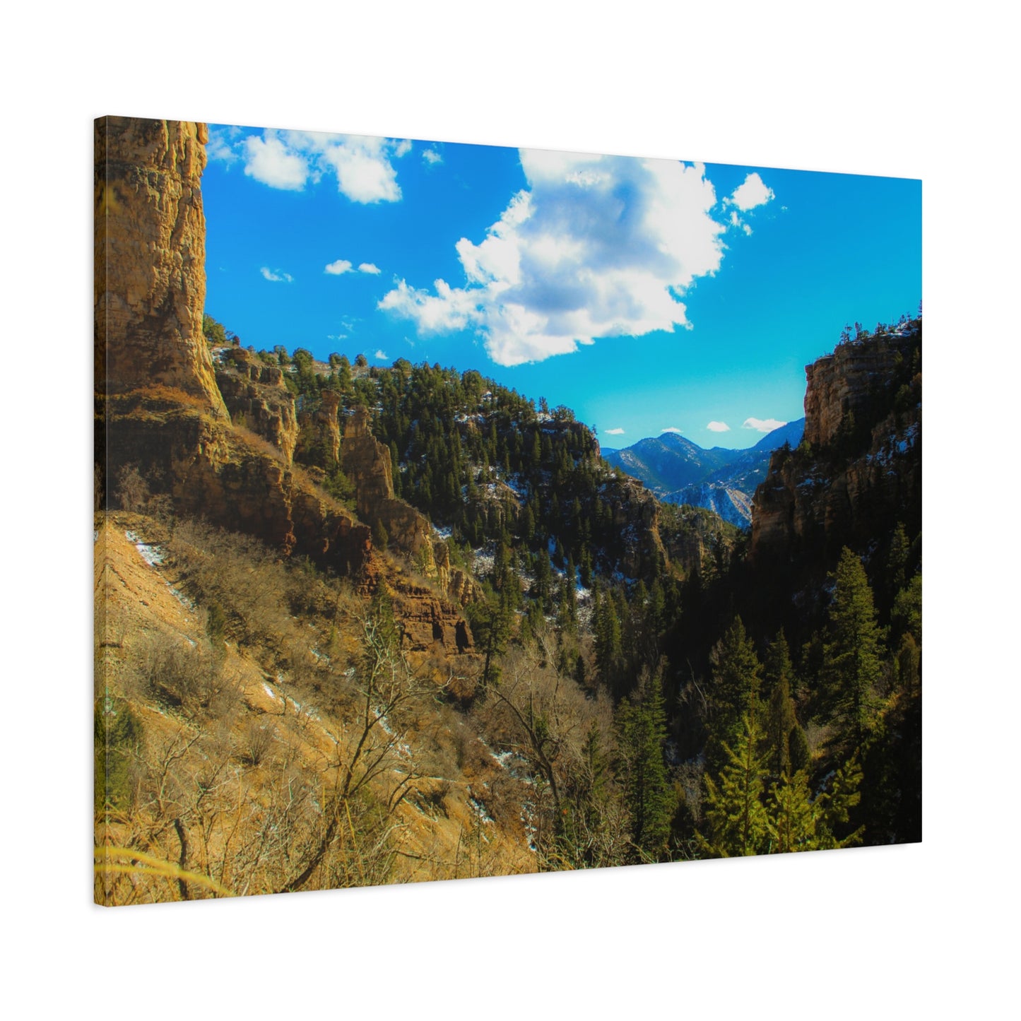 Canvas Art Print - Valley with Trees and Blue Sky Photography