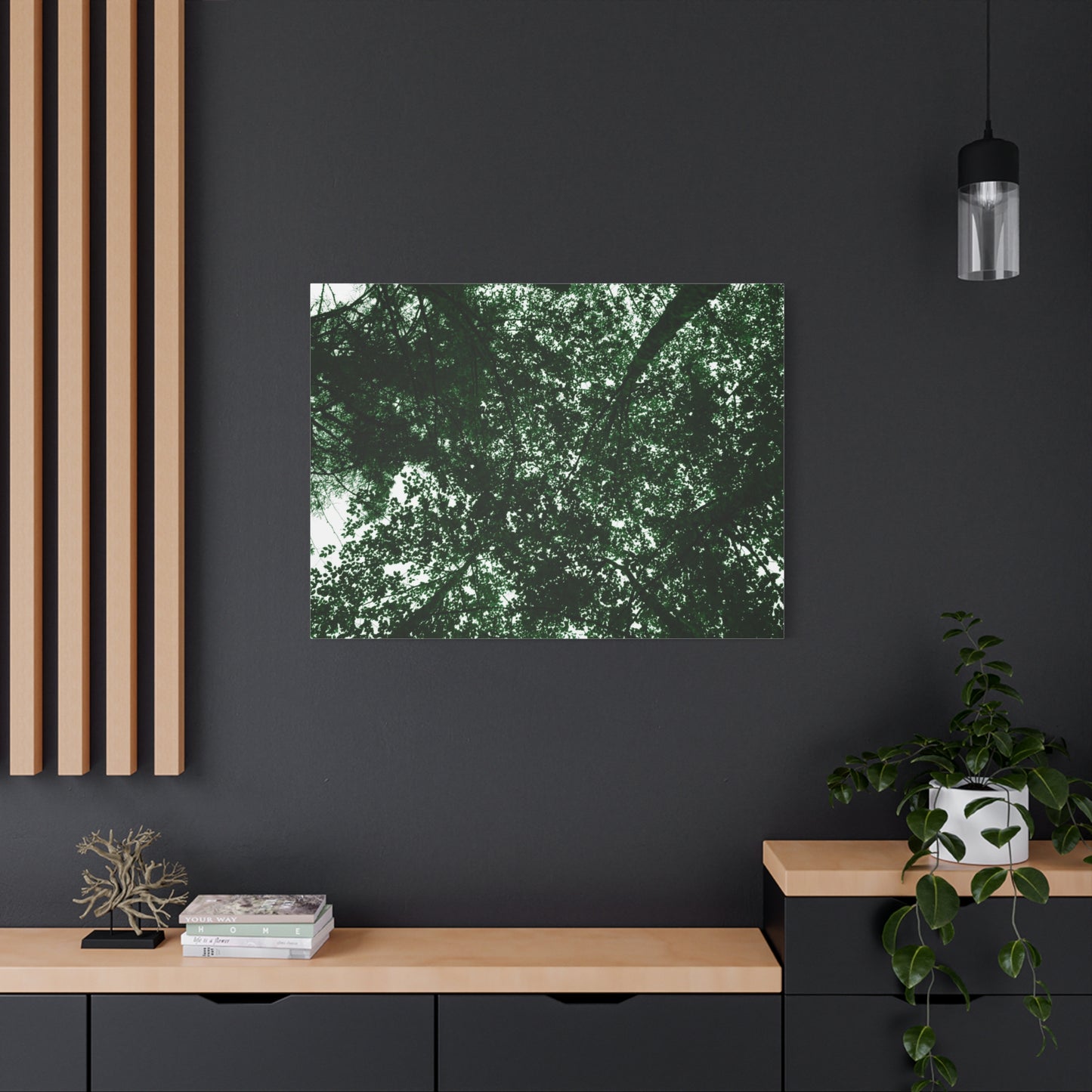 Canvas Print - Towering Tree Tops Photography