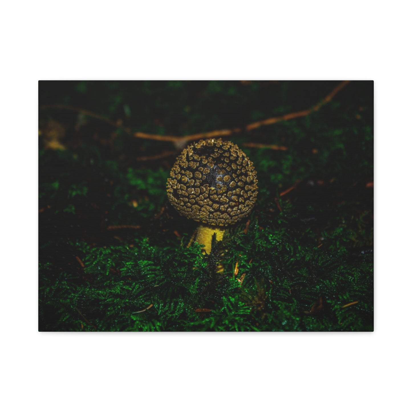Canvas Print - Micro Mushroom Design