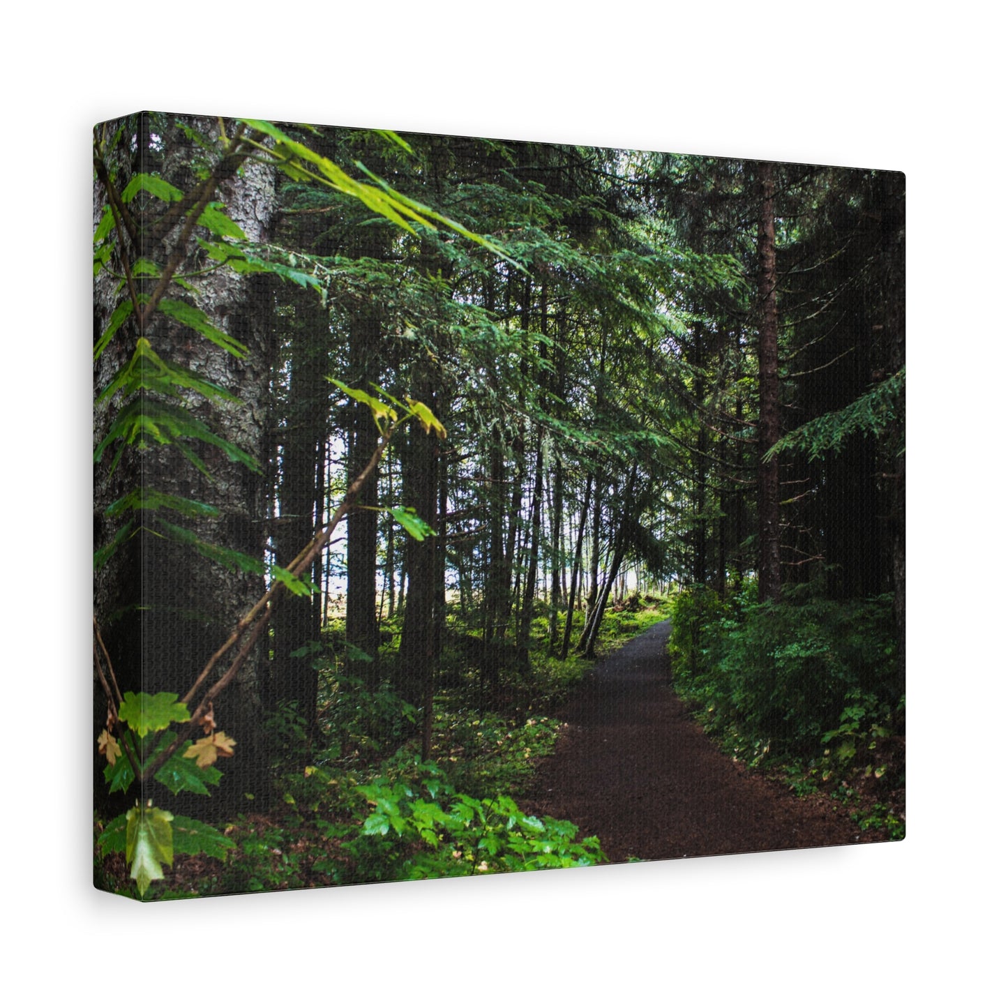 Copy of Canvas Art Print - Trail Through The Trees-Photograph