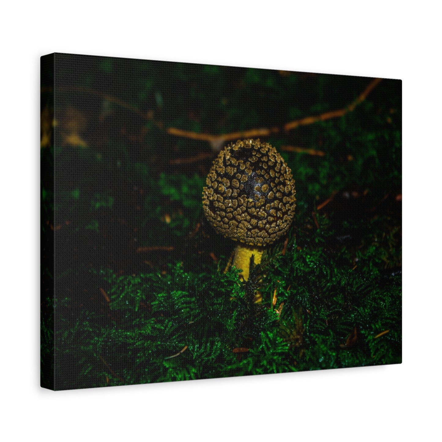 Canvas Print - Micro Mushroom Design