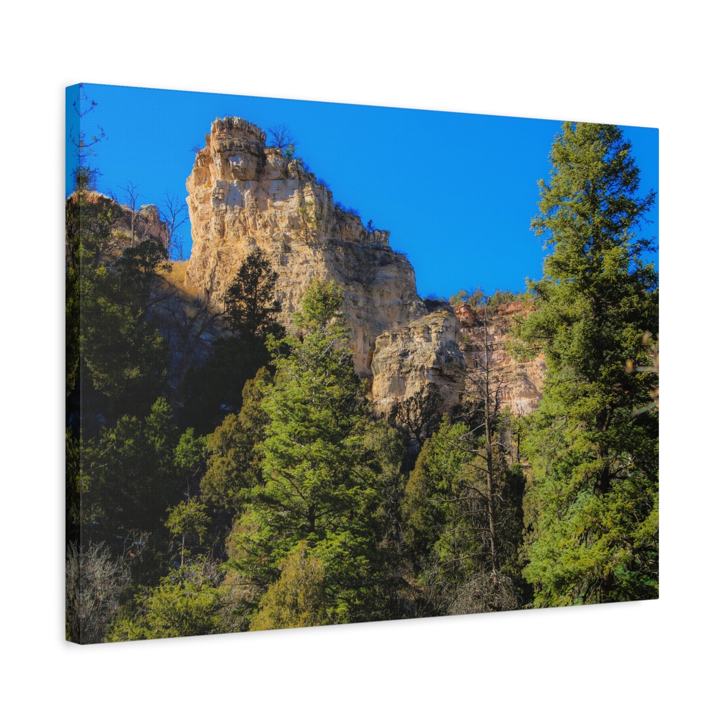 Canvas Print - Towering Cliff Green Trees Blue Skies Photography