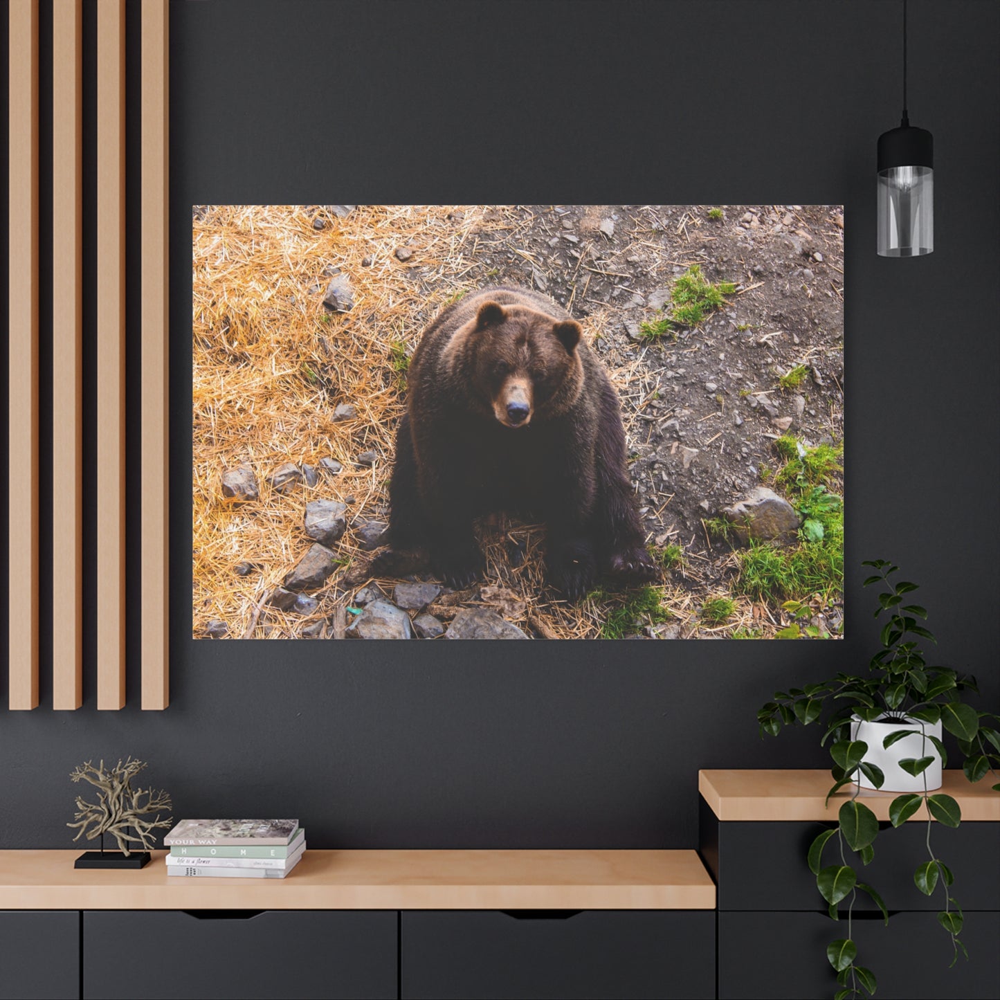 Canvas Print - Staring Bear Photograph