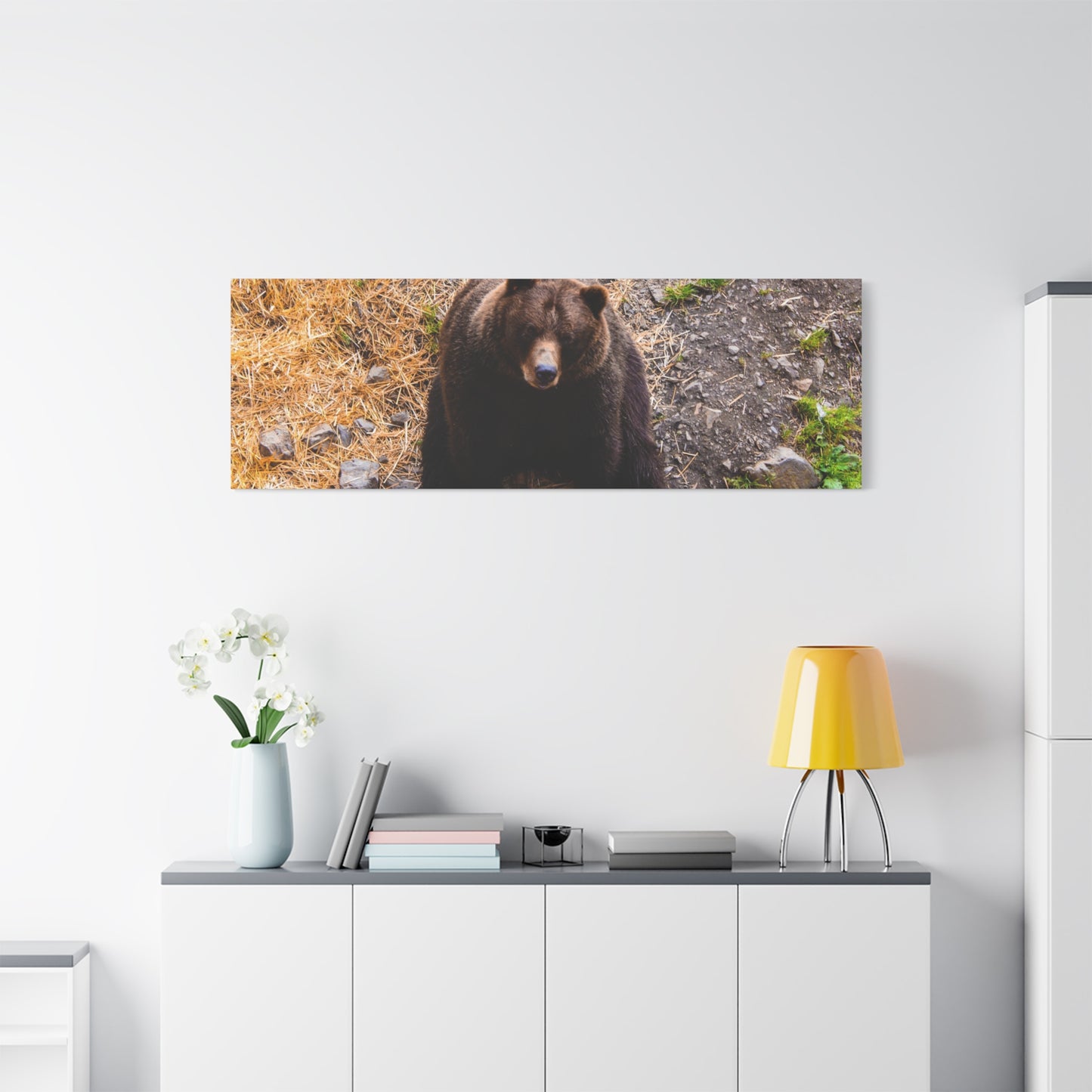 Canvas Print - Staring Bear Photograph
