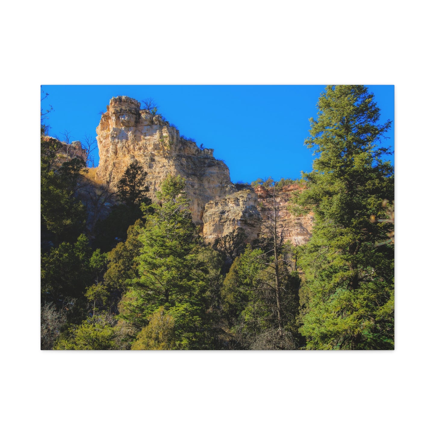 Canvas Print - Towering Cliff Green Trees Blue Skies Photography
