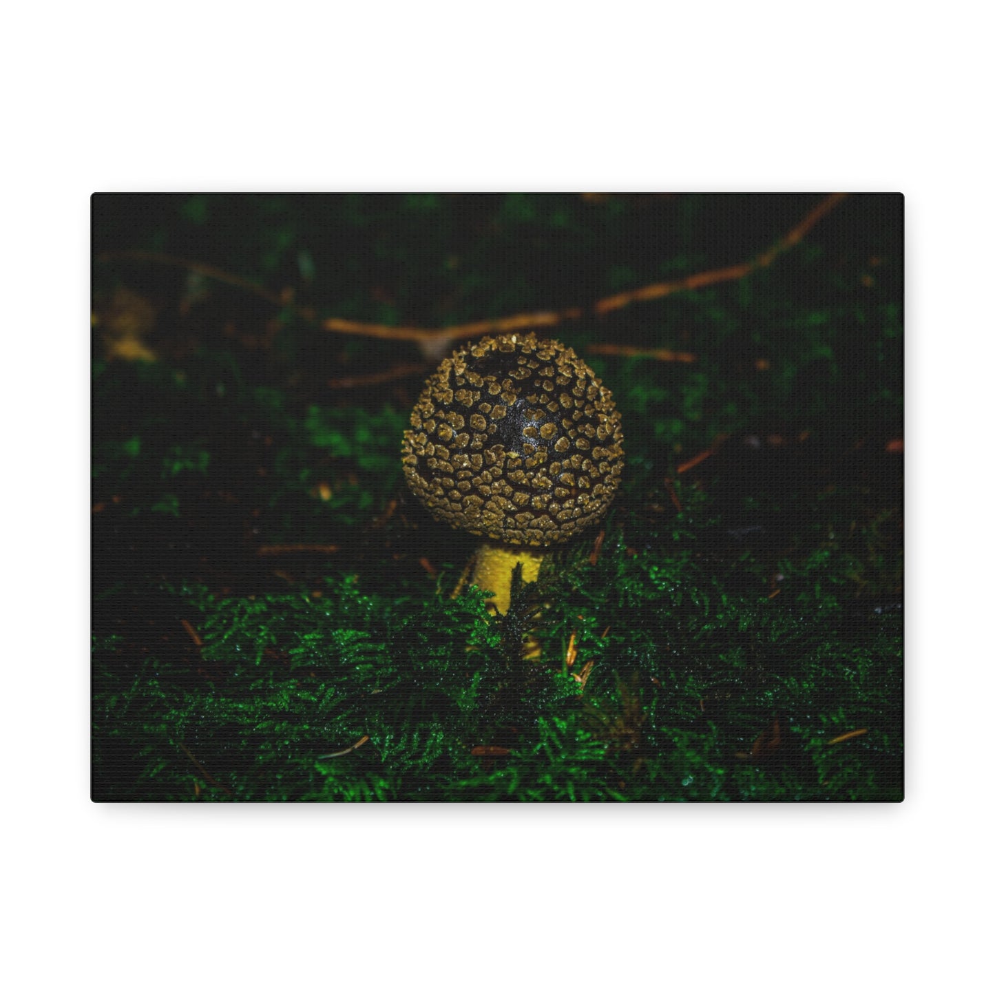 Canvas Print - Micro Mushroom Design