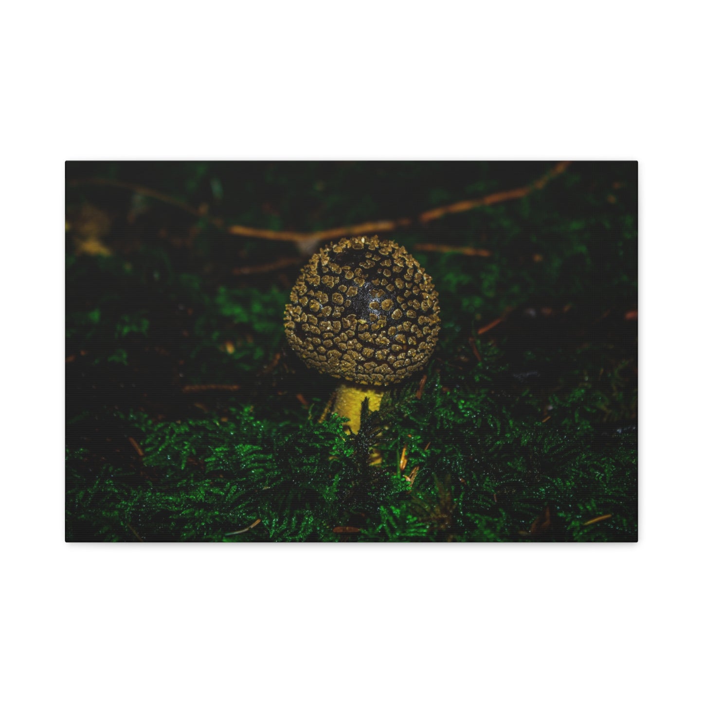 Canvas Print - Micro Mushroom Design