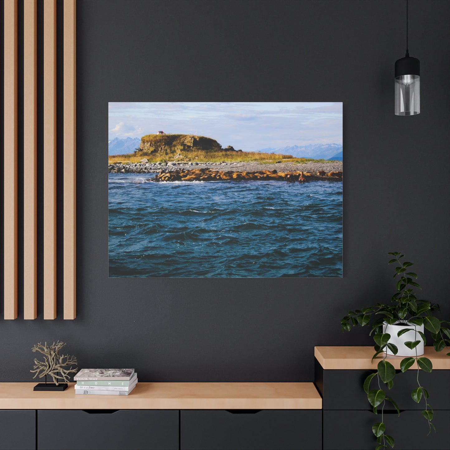 Canvas Print - Photo of Seal Island