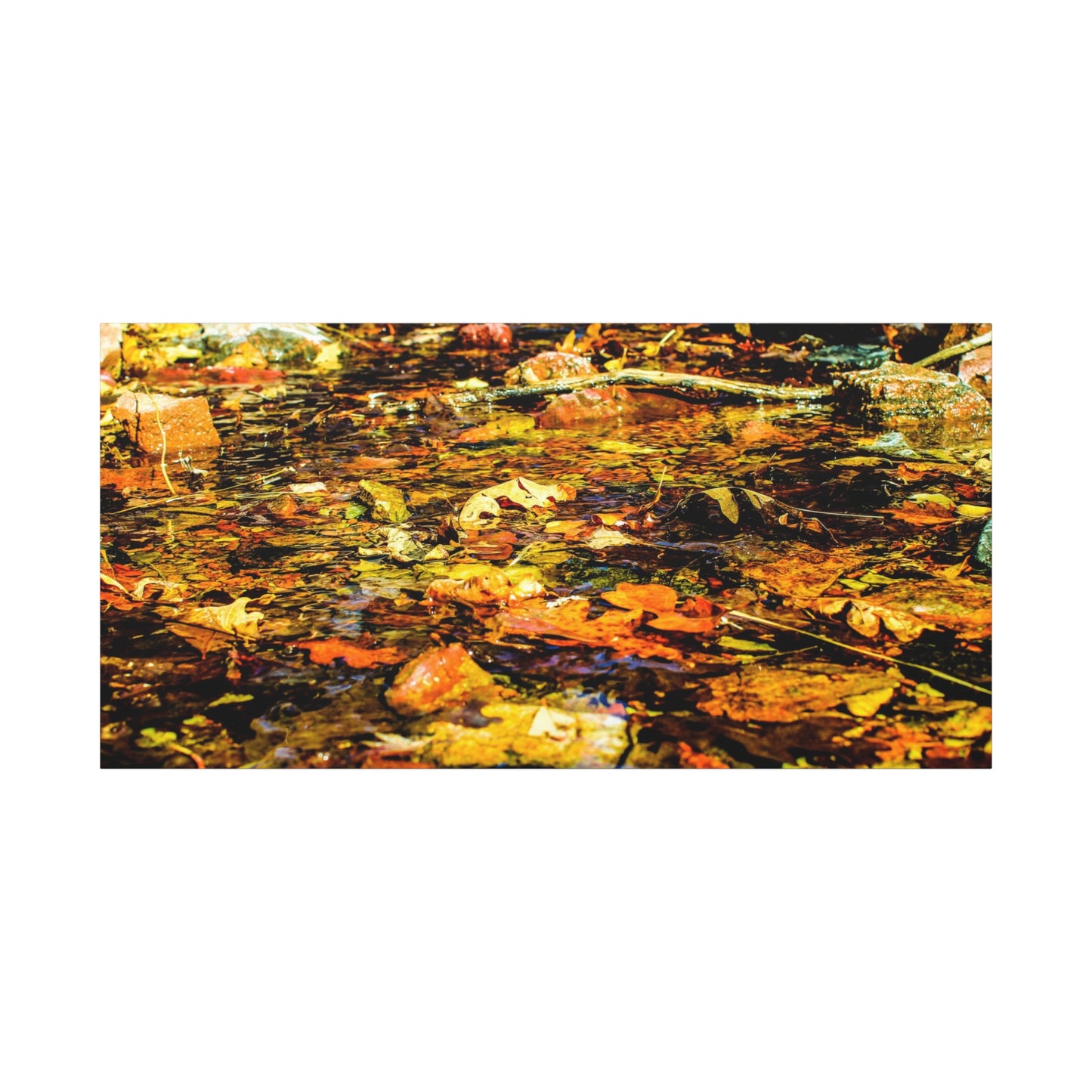 Canvas Print - Fall Leaves in Quiet Stream Photography