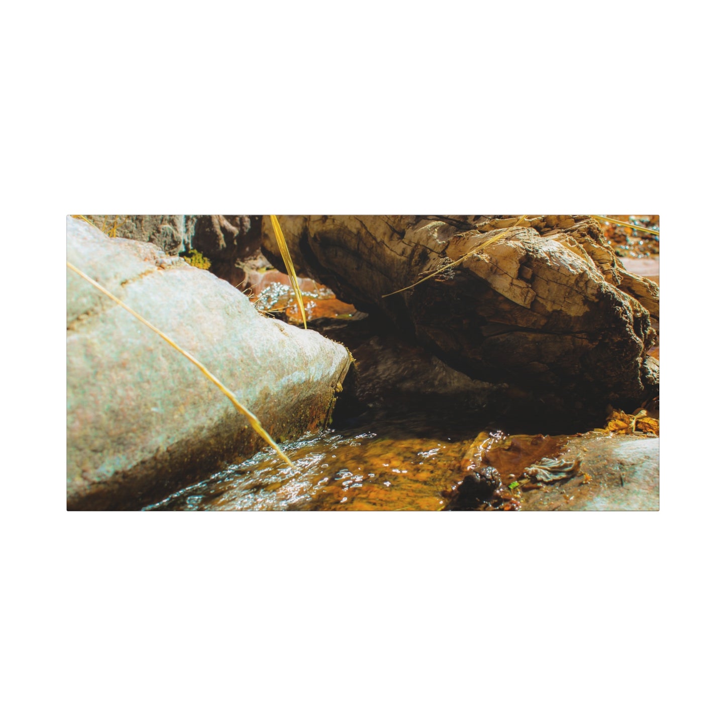 Canvas Print Lazy Log Photography
