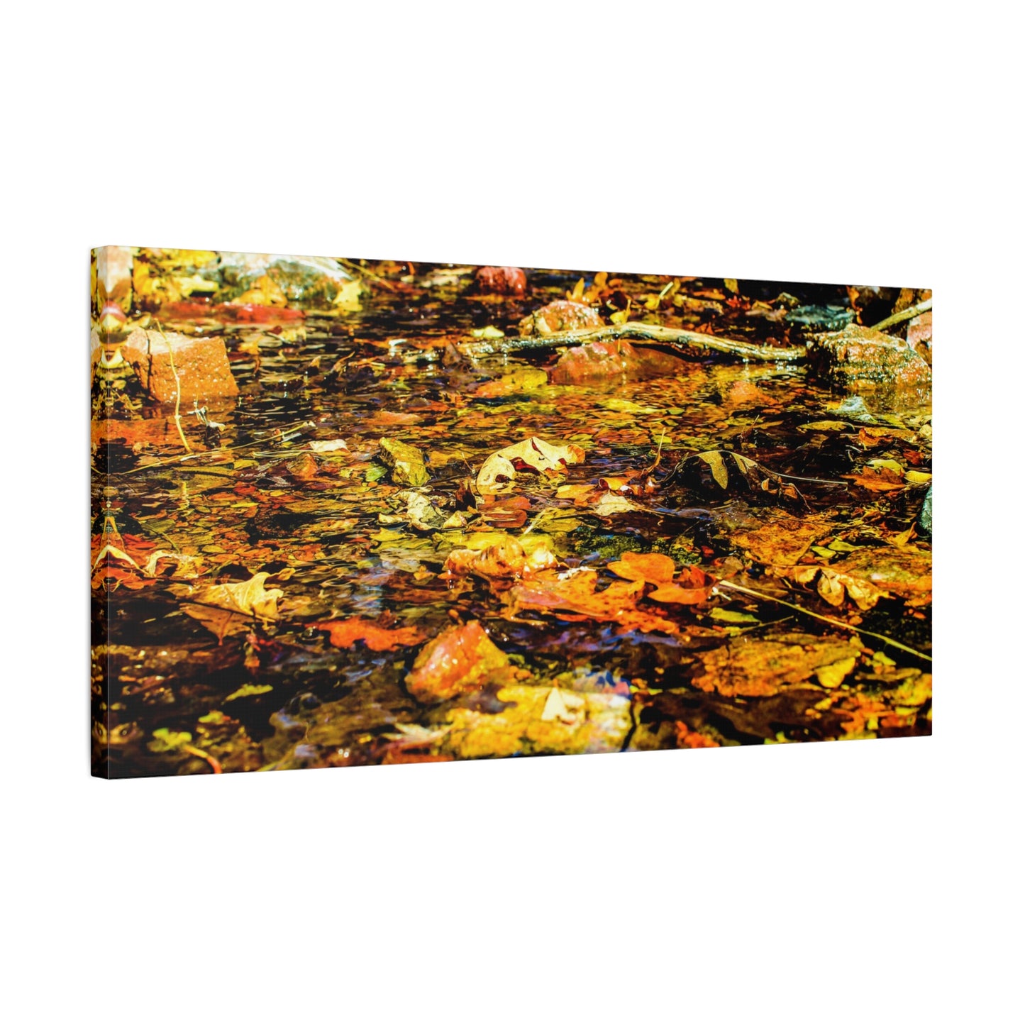 Canvas Print - Fall Leaves in Quiet Stream Photography