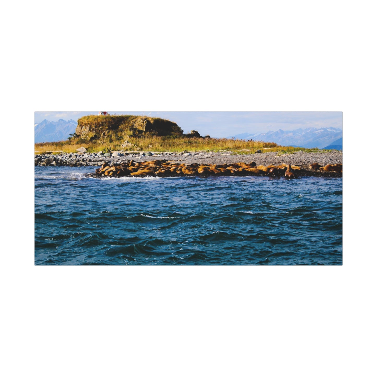 Canvas Print - Photo of Seal Island