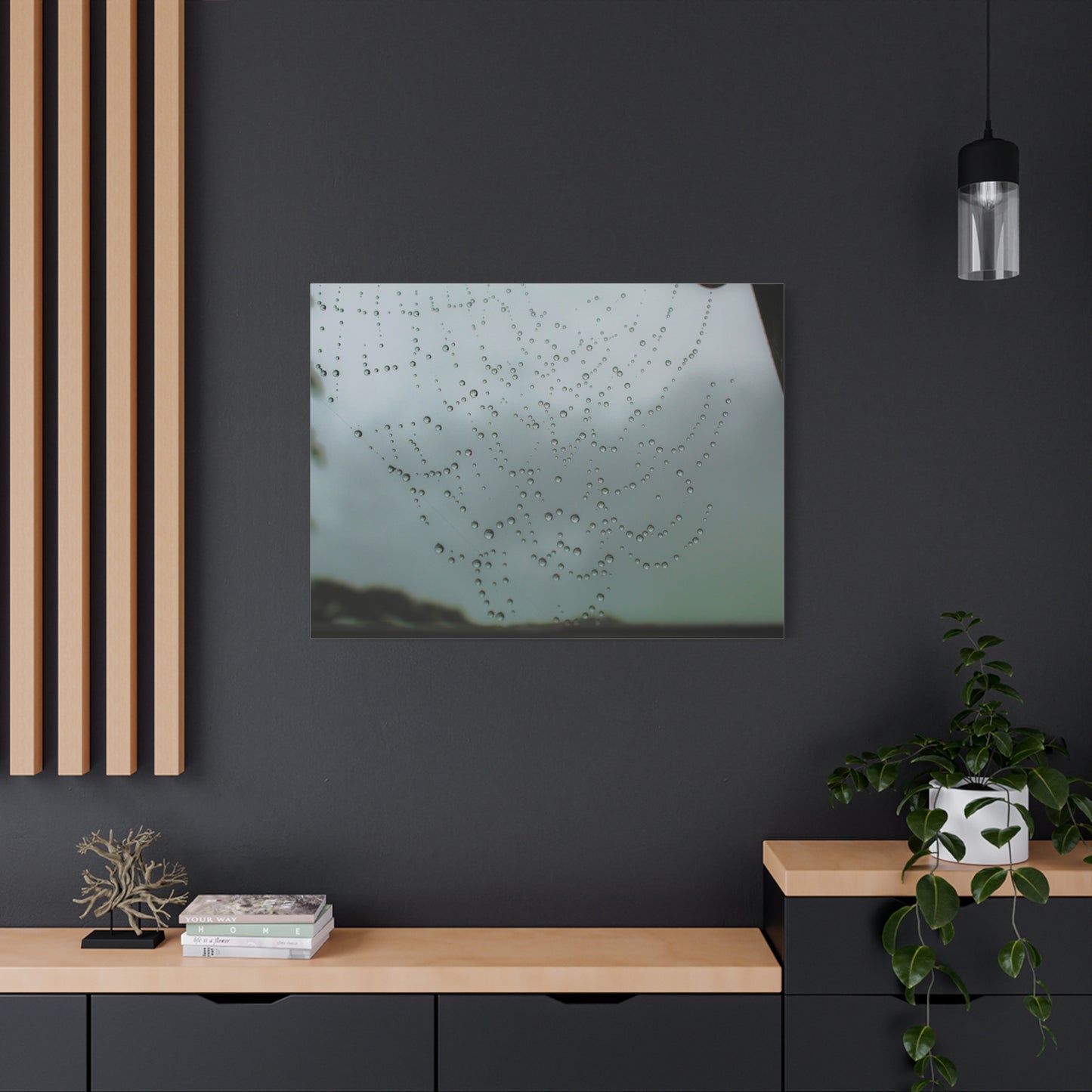 Canvas Print - Morning Dew on Spider Web Photo