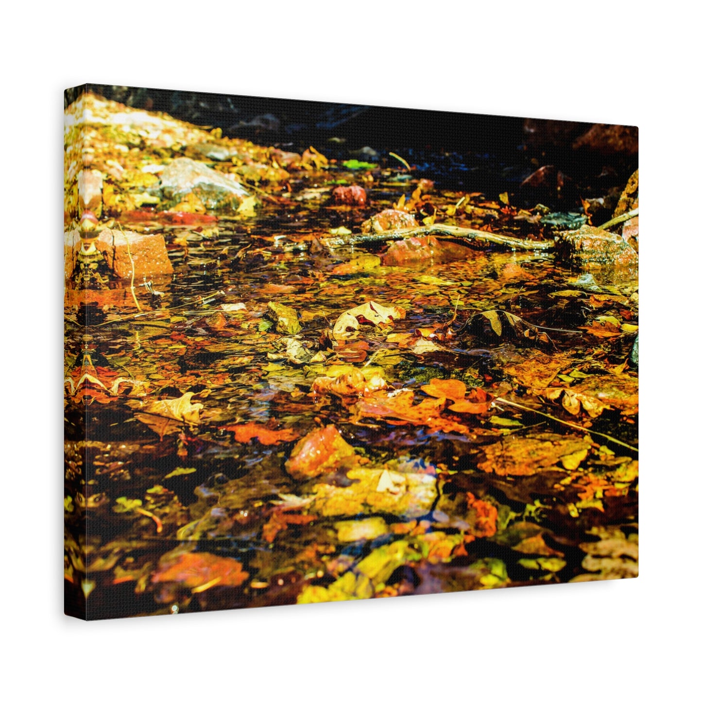 Canvas Print - Fall Leaves in Quiet Stream Photography