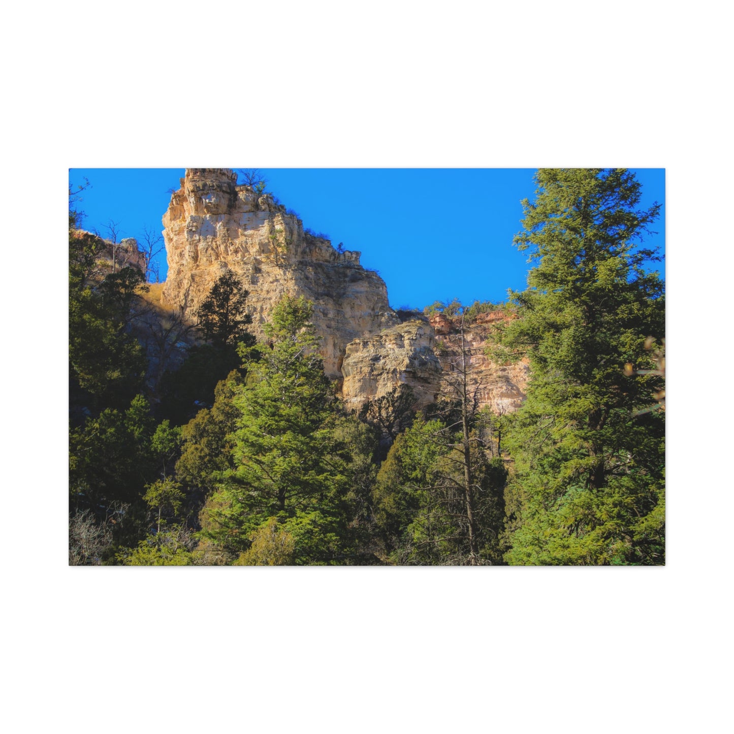 Canvas Print - Towering Cliff Green Trees Blue Skies Photography