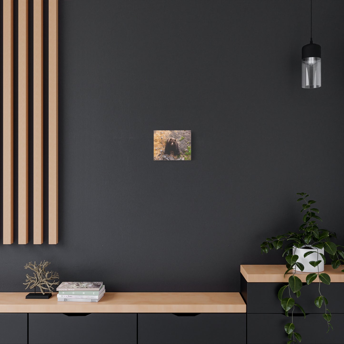 Canvas Print - Staring Bear Photograph