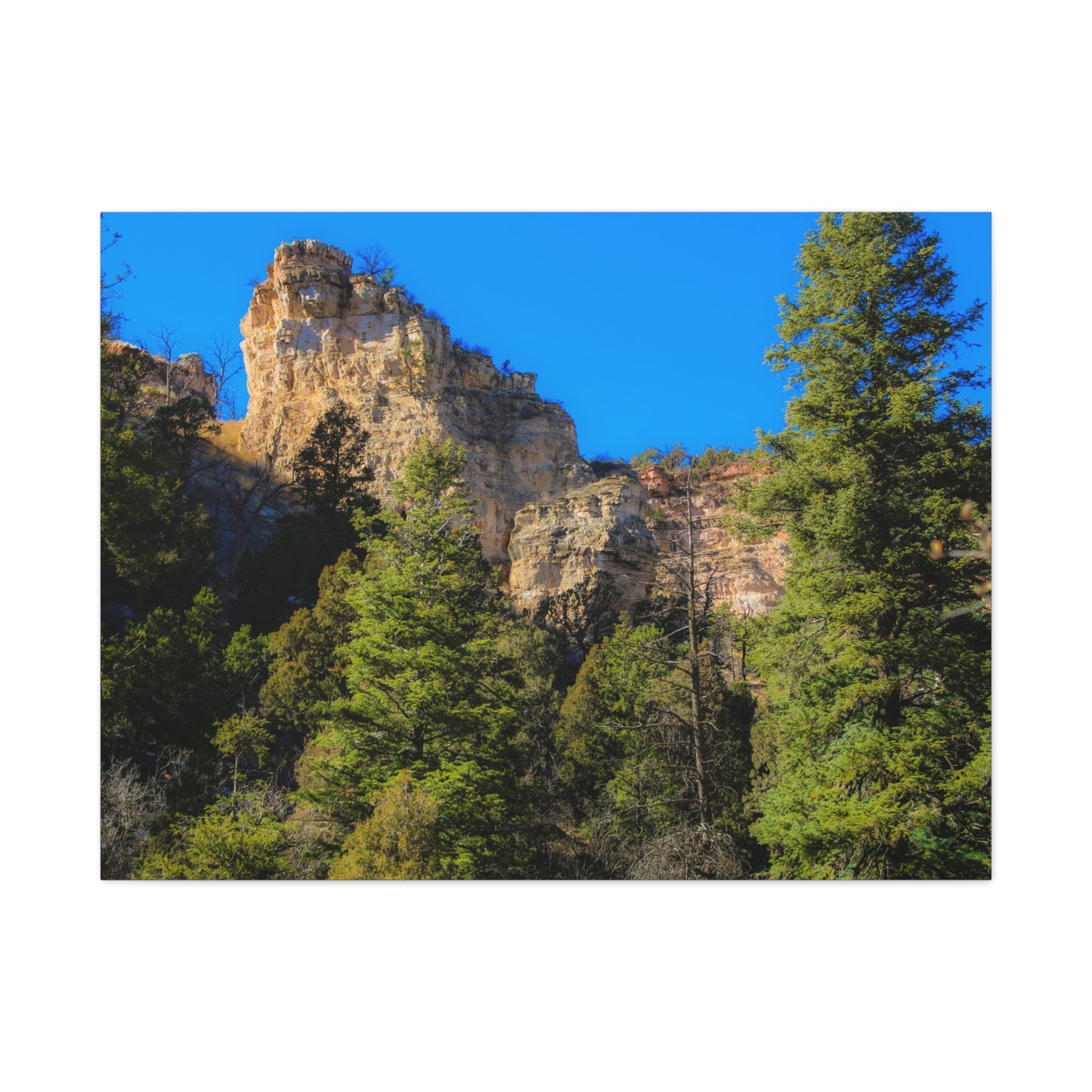 Canvas Print - Towering Cliff Green Trees Blue Skies Photography