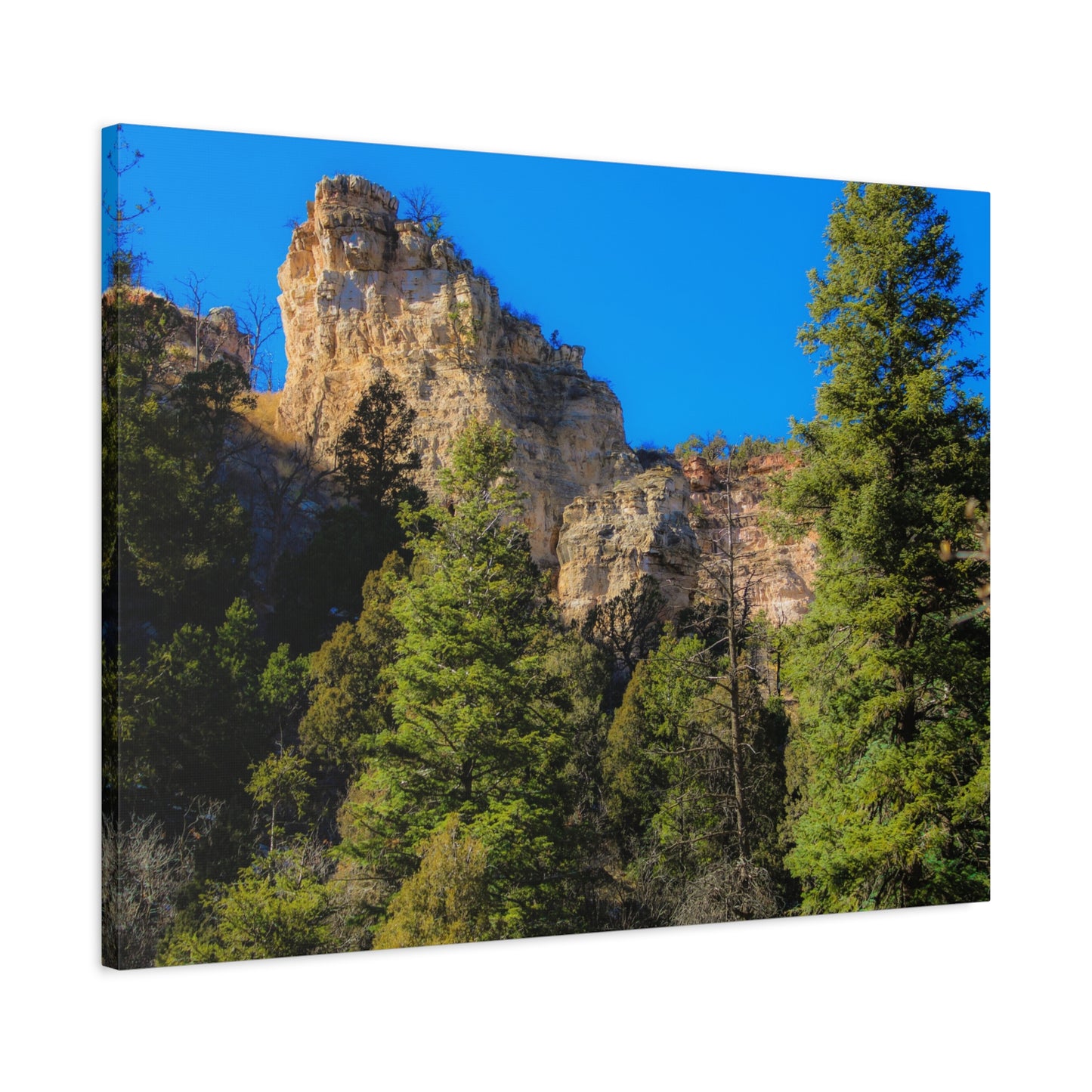 Canvas Print - Towering Cliff Green Trees Blue Skies Photography