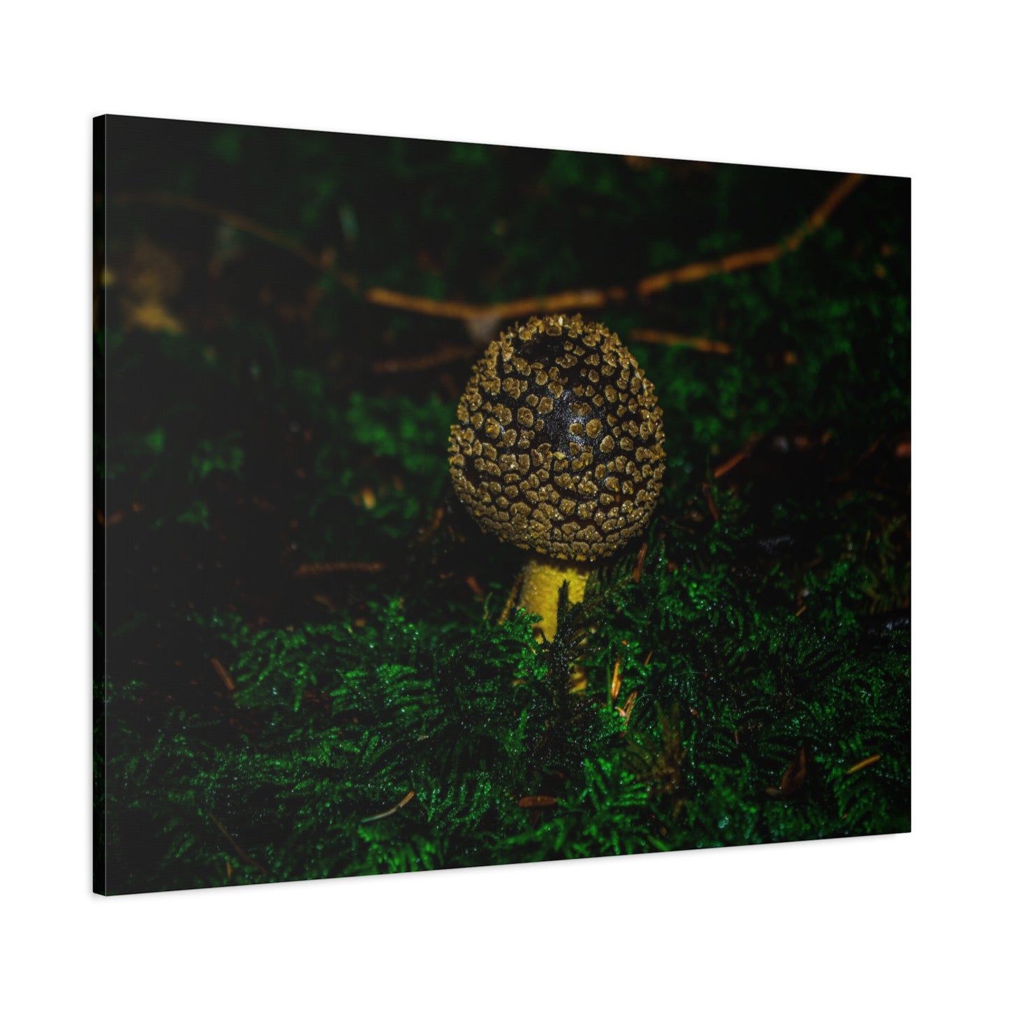 Canvas Print - Micro Mushroom Design