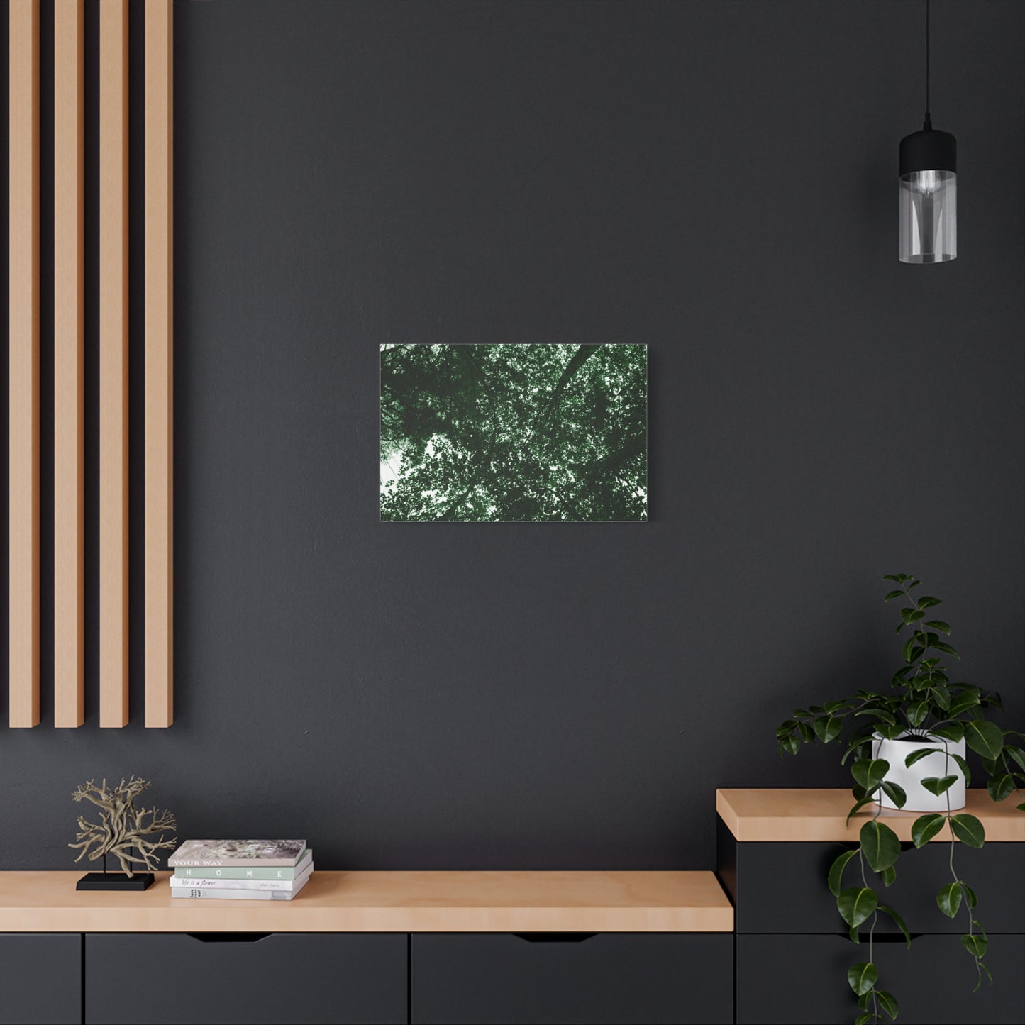 Canvas Print - Towering Tree Tops Photography
