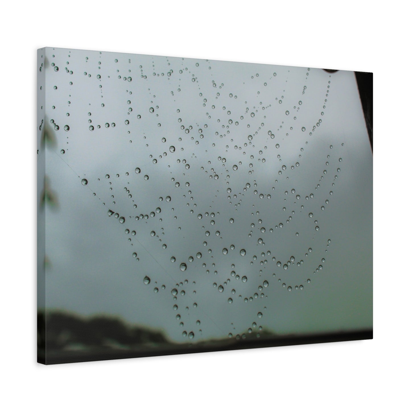 Canvas Print - Morning Dew on Spider Web Photo