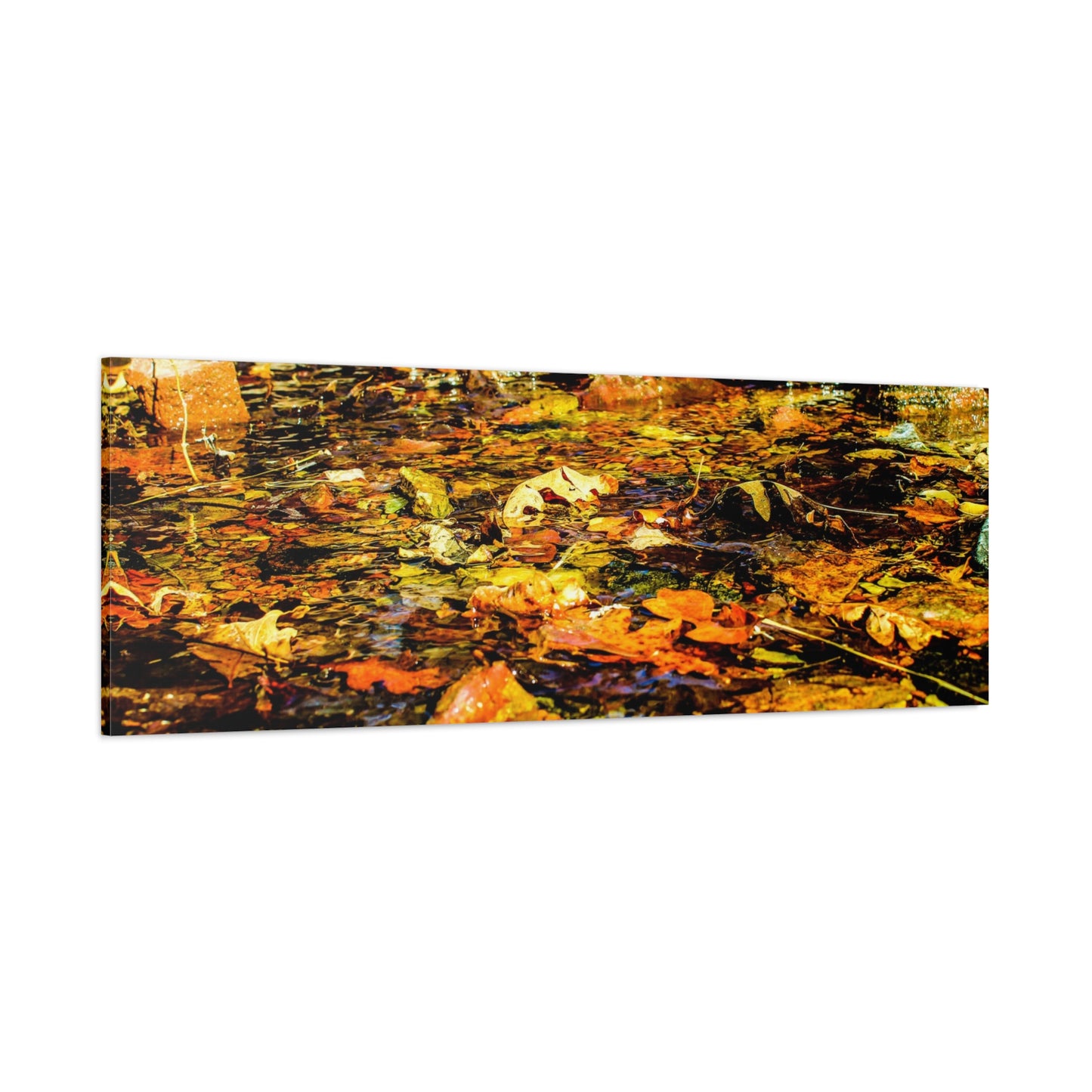 Canvas Print - Fall Leaves in Quiet Stream Photography
