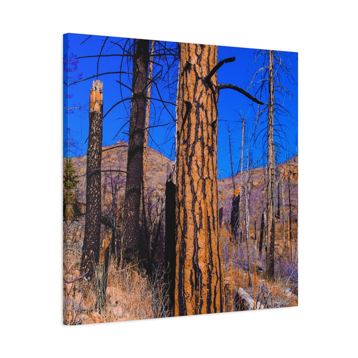 Canvas Print - Thunder Struck Tree Photo