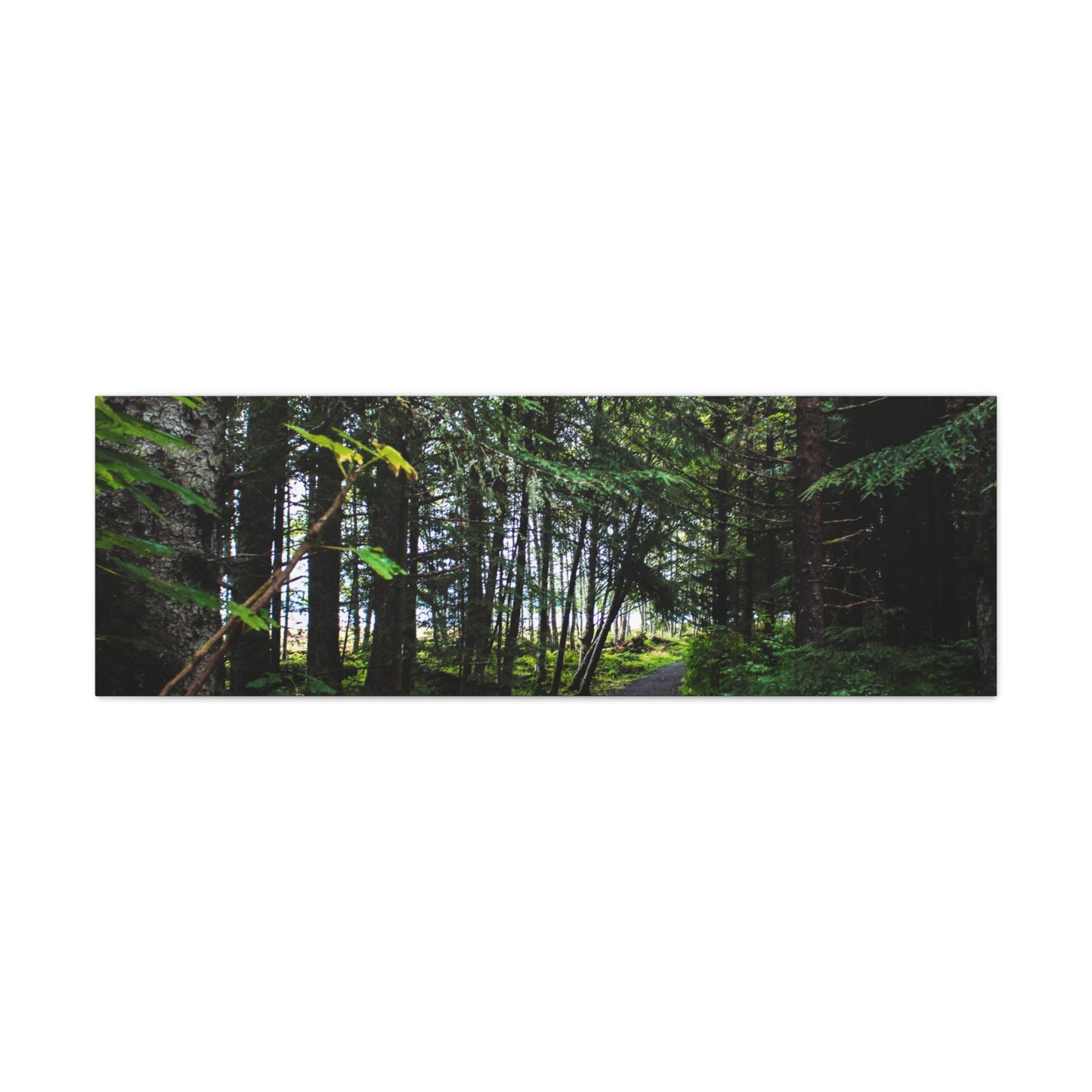Copy of Canvas Art Print - Trail Through The Trees-Photograph