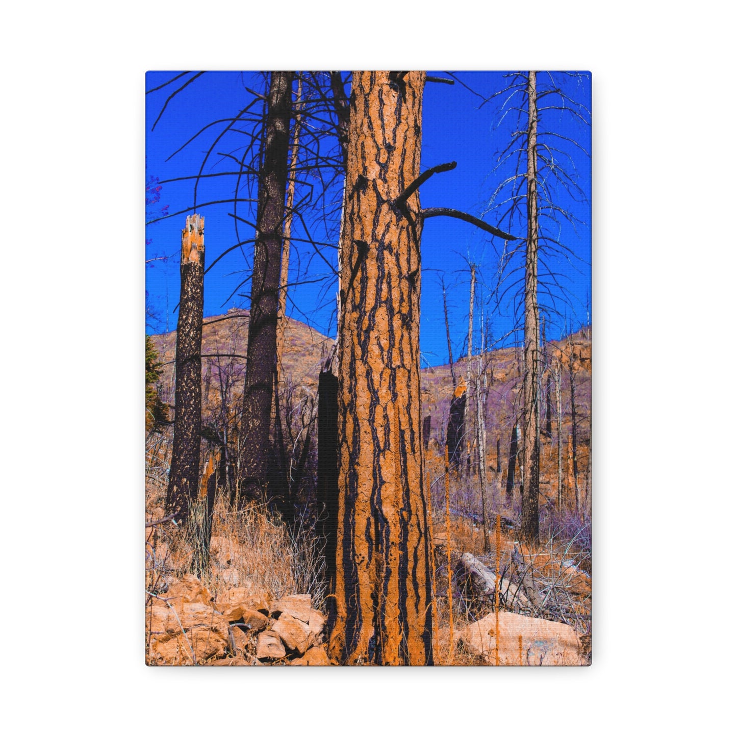Canvas Print - Thunder Struck Tree Photo
