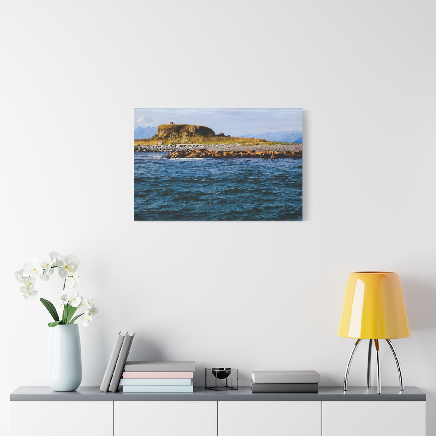 Canvas Print - Photo of Seal Island