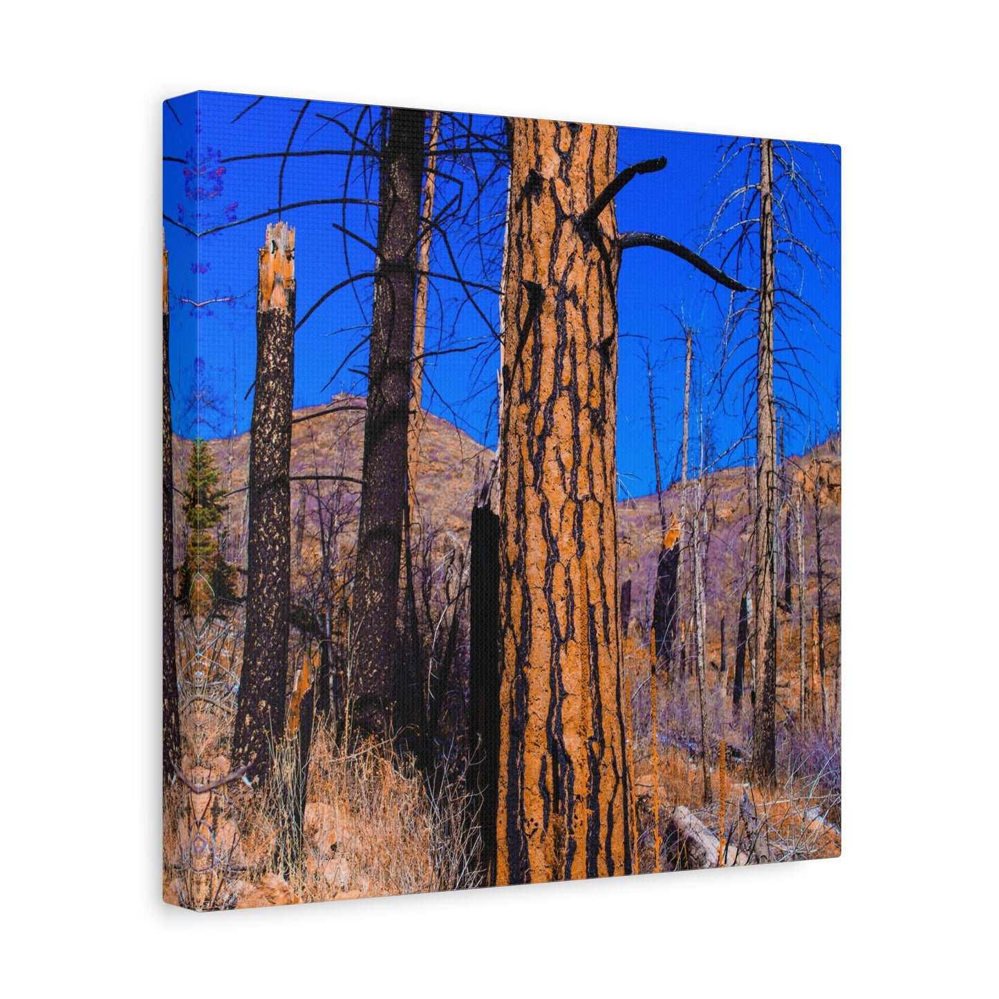 Canvas Print - Thunder Struck Tree Photo