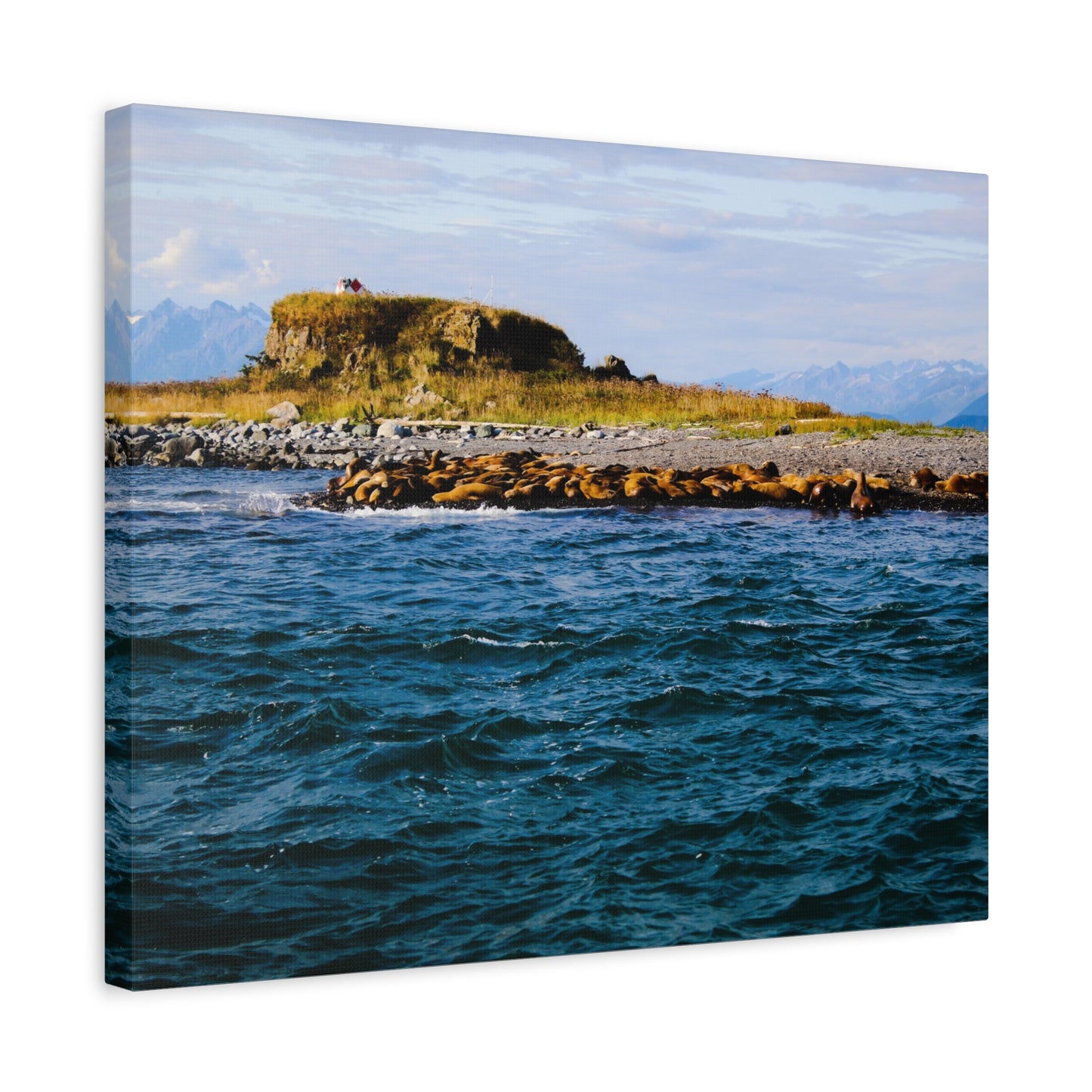 Canvas Print - Photo of Seal Island