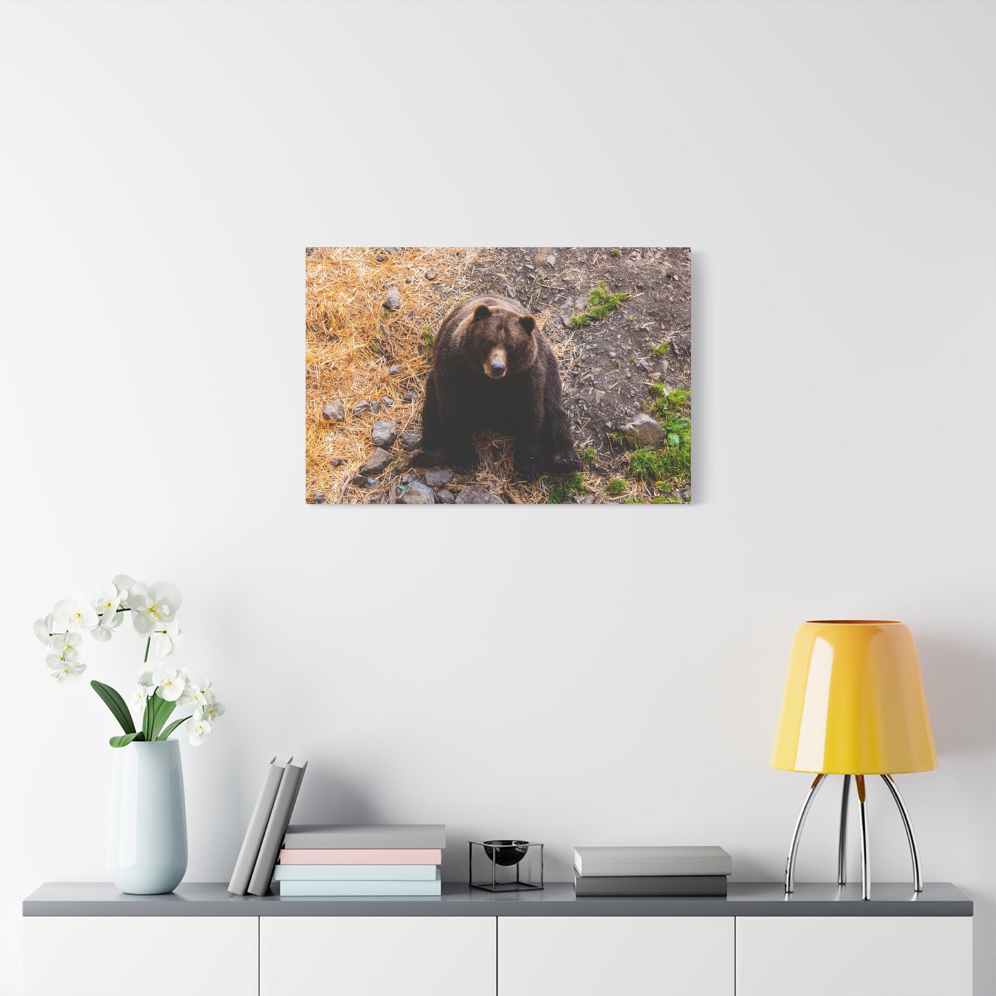 Canvas Print - Staring Bear Photograph