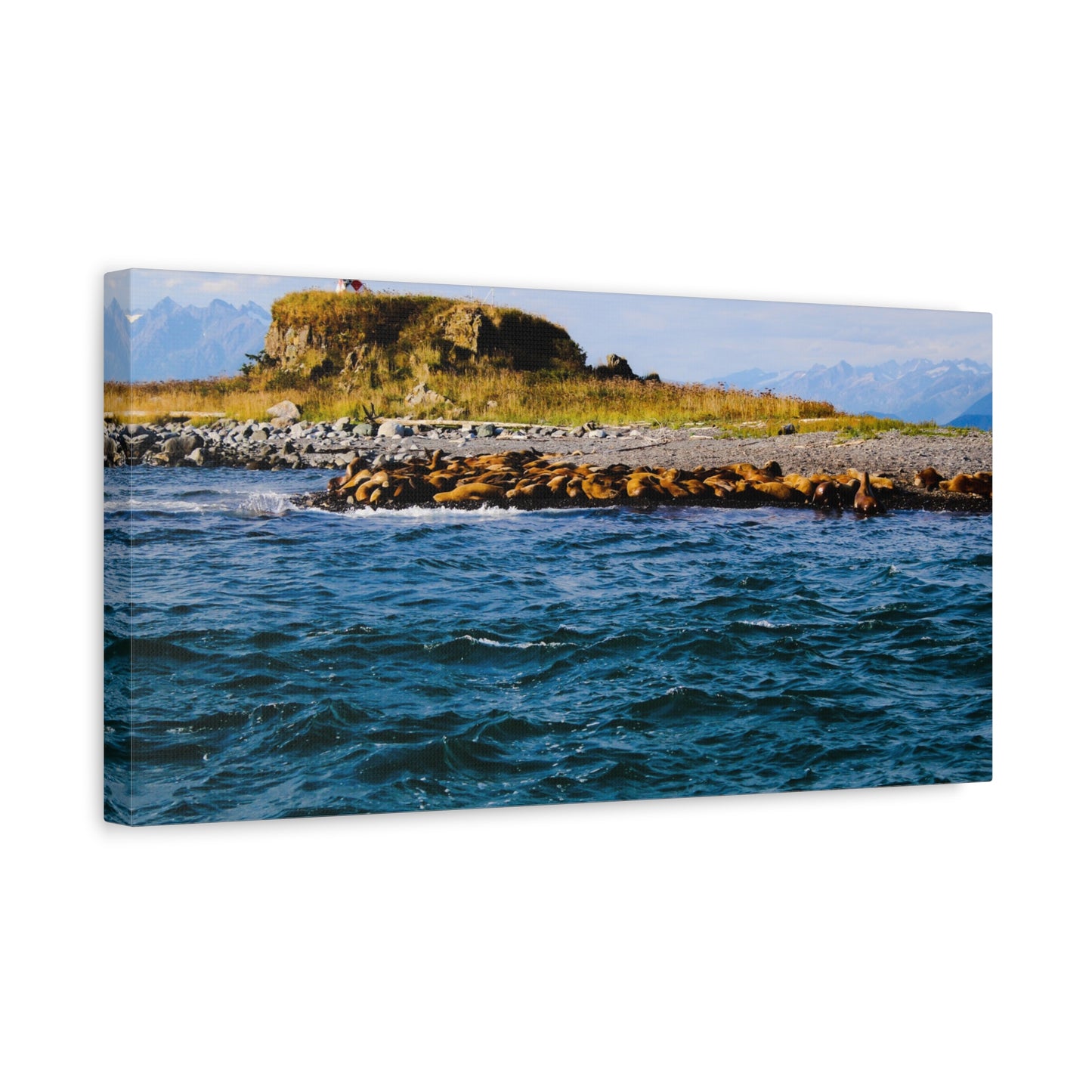 Canvas Print - Photo of Seal Island