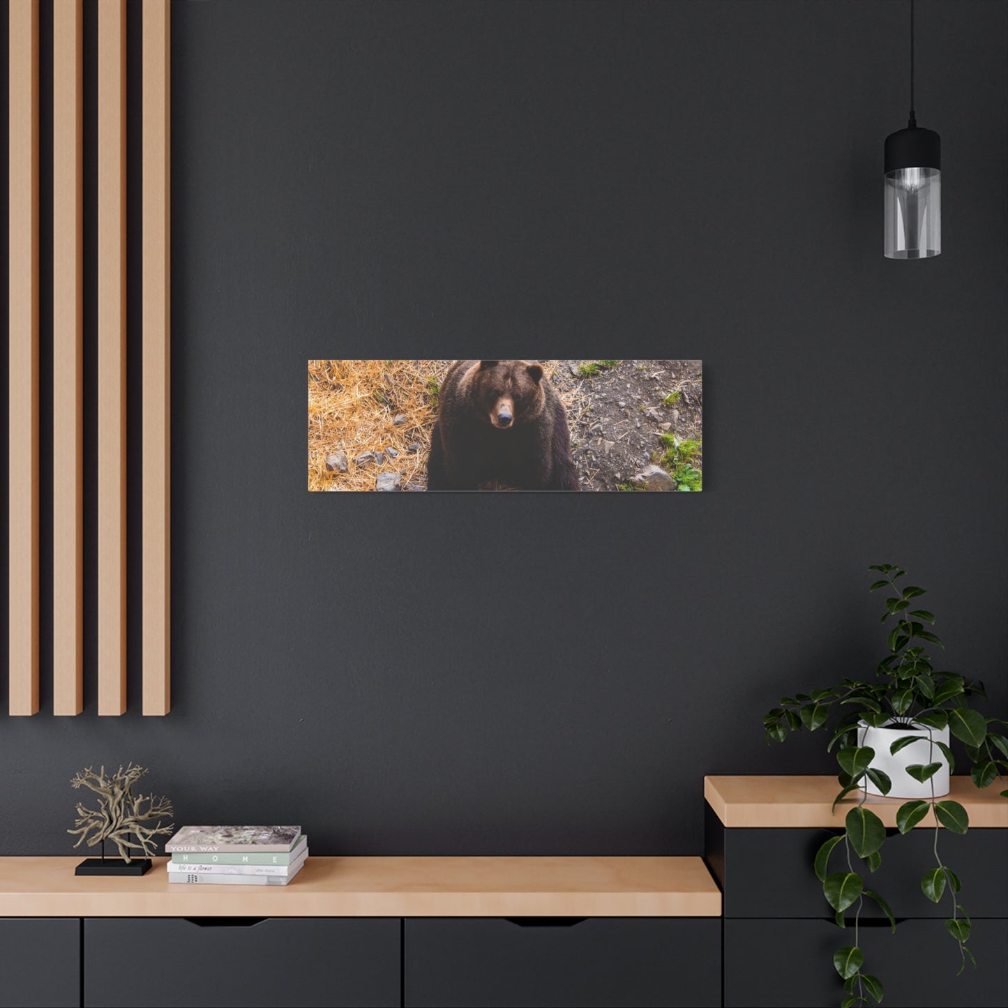 Canvas Print - Staring Bear Photograph