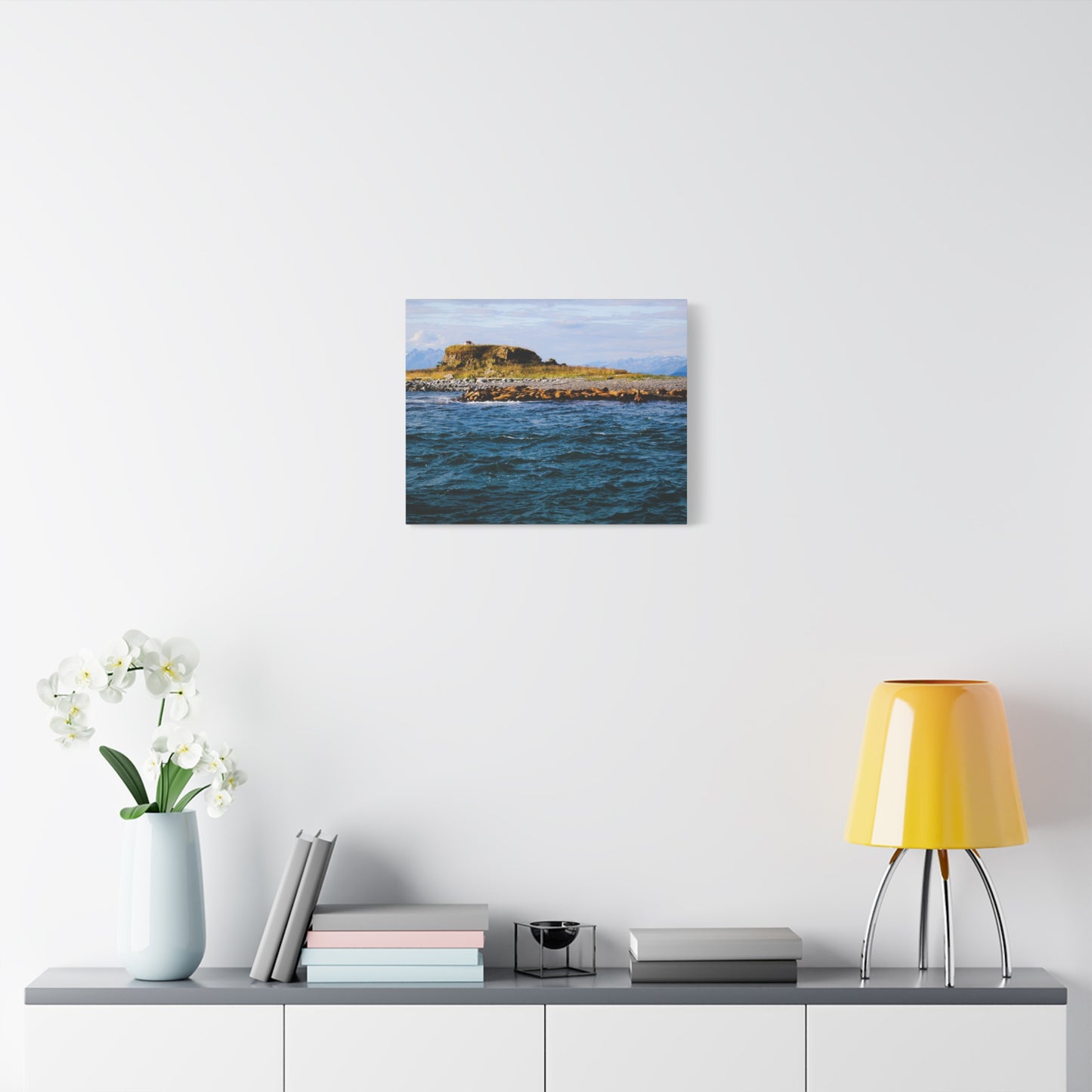 Canvas Print - Photo of Seal Island
