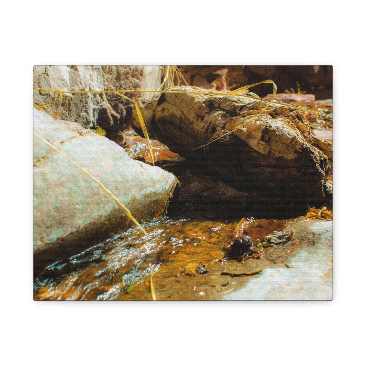 Canvas Print Lazy Log Photography
