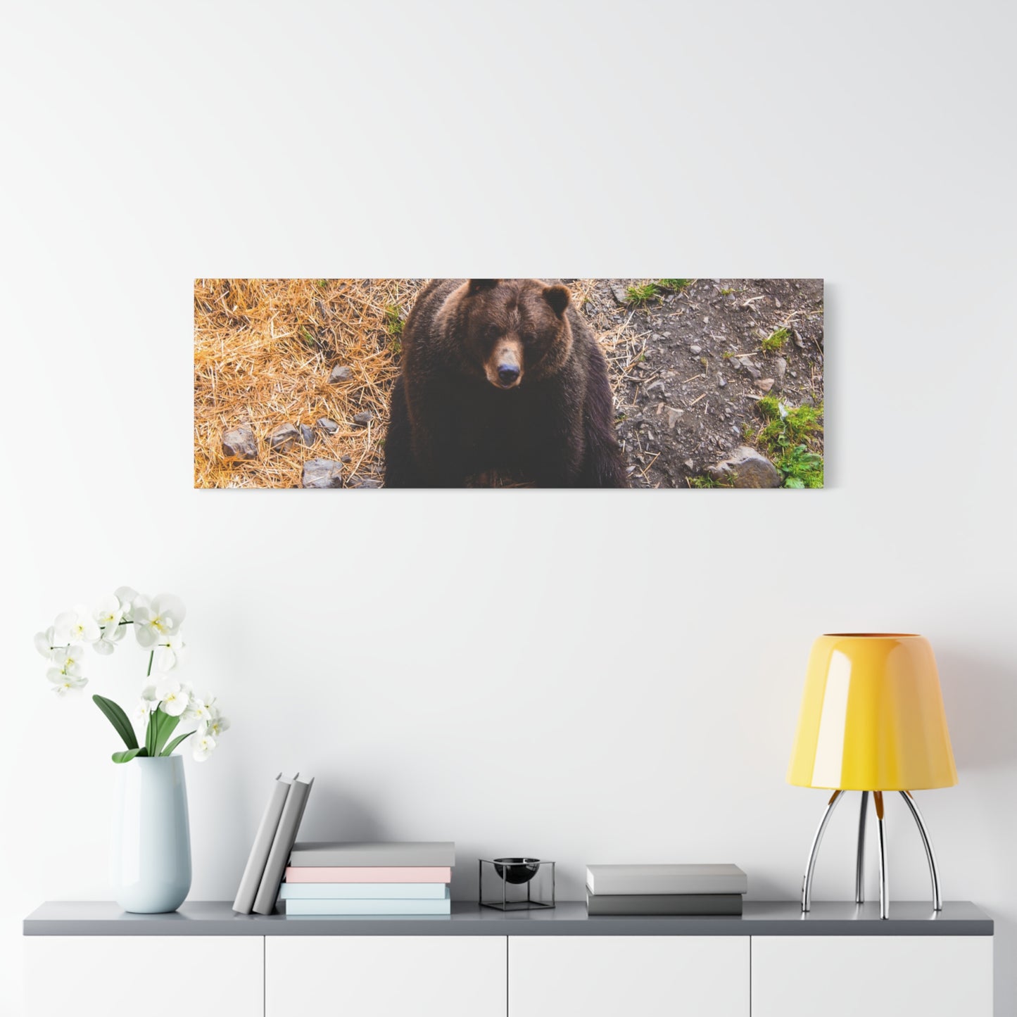 Canvas Print - Staring Bear Photograph