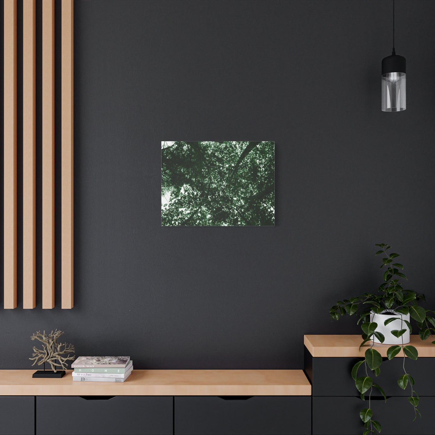 Canvas Print - Towering Tree Tops Photography