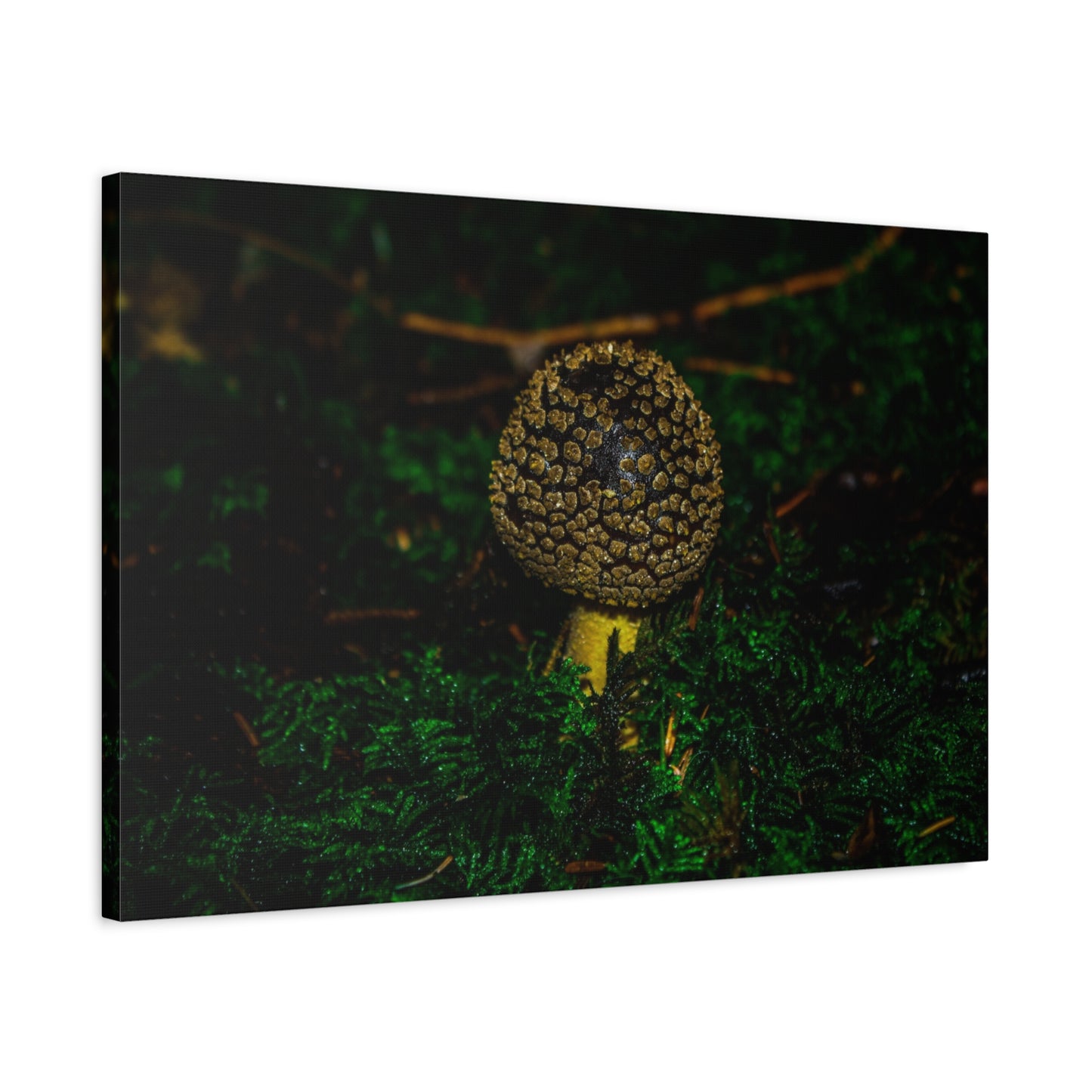 Canvas Print - Micro Mushroom Design