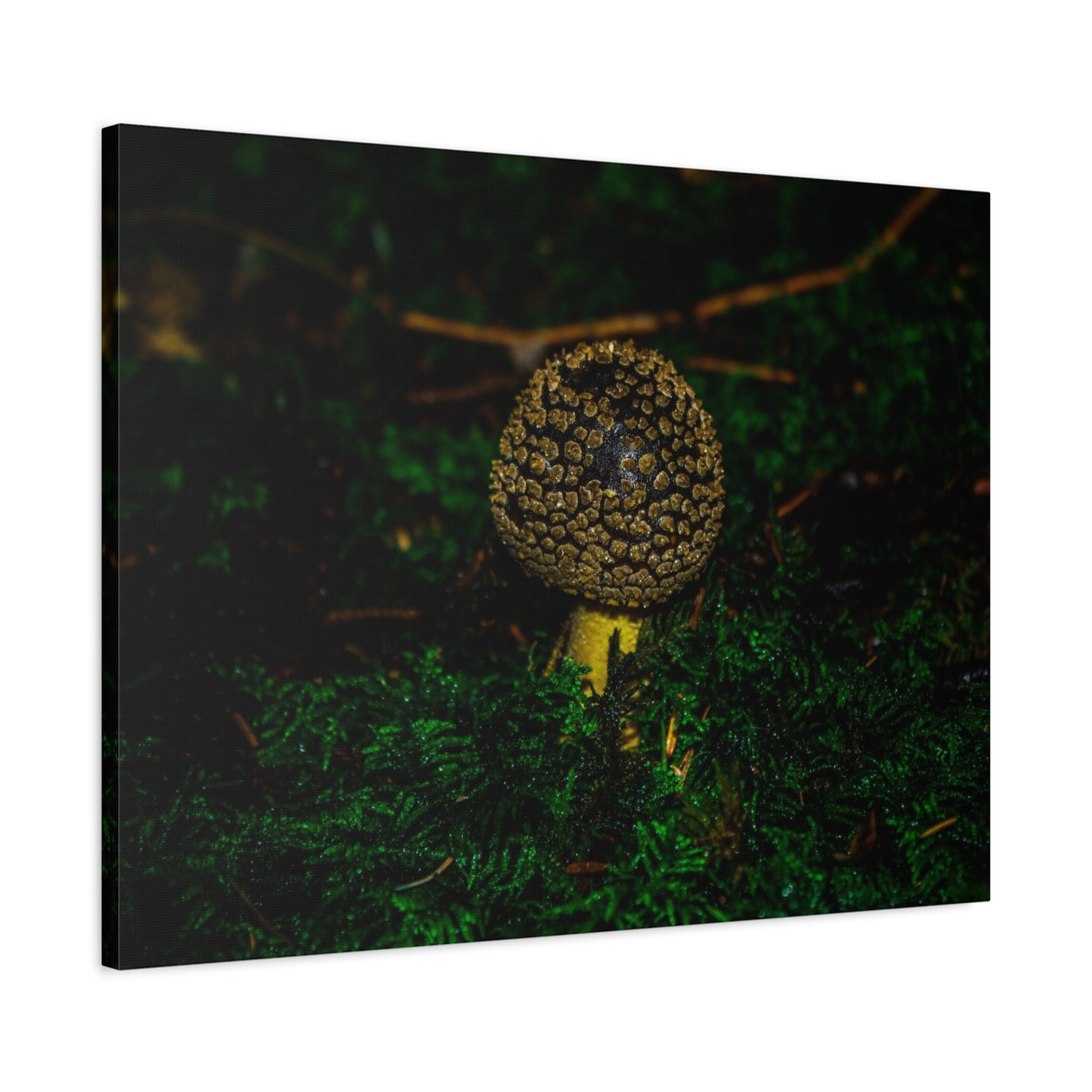 Canvas Print - Micro Mushroom Design