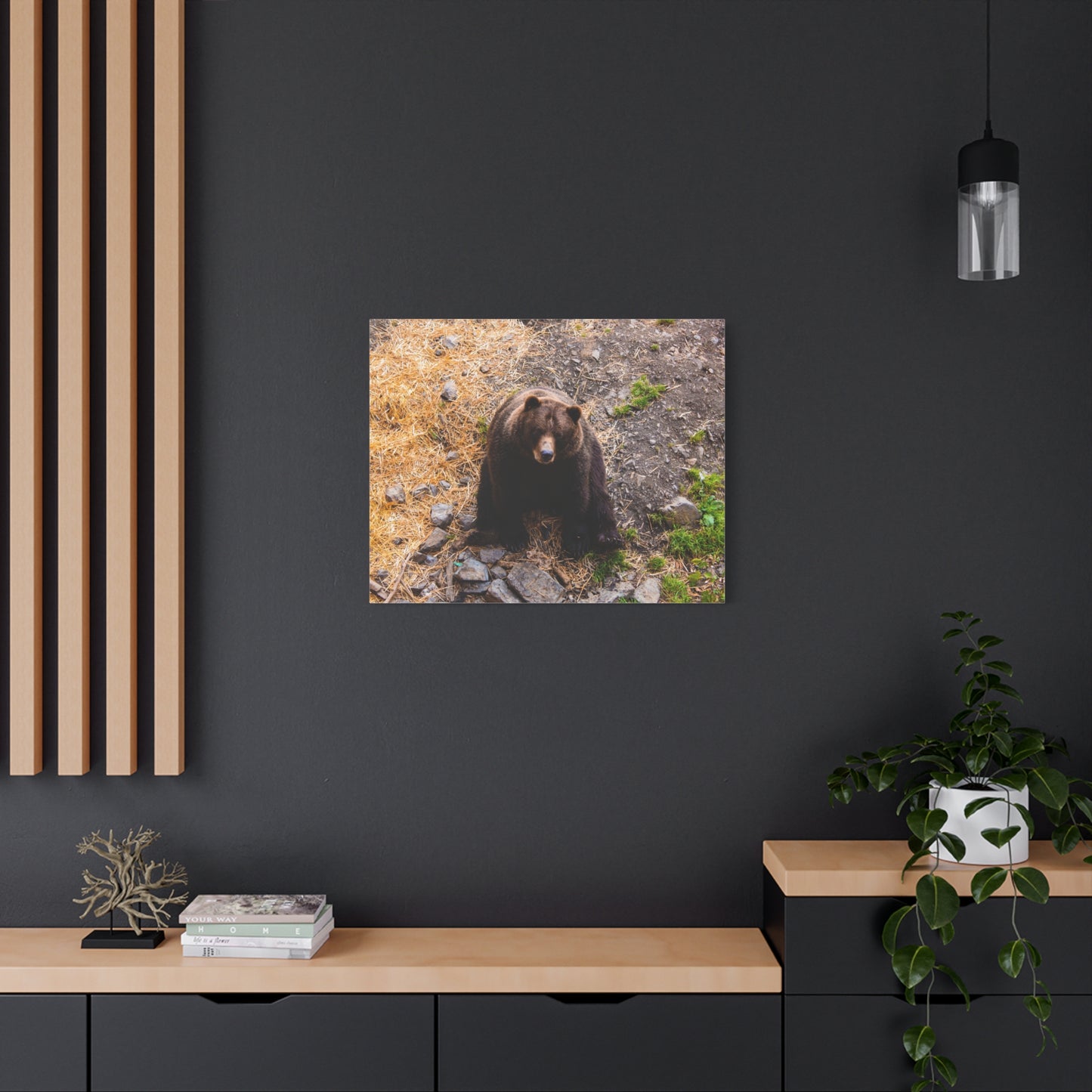 Canvas Print - Staring Bear Photograph